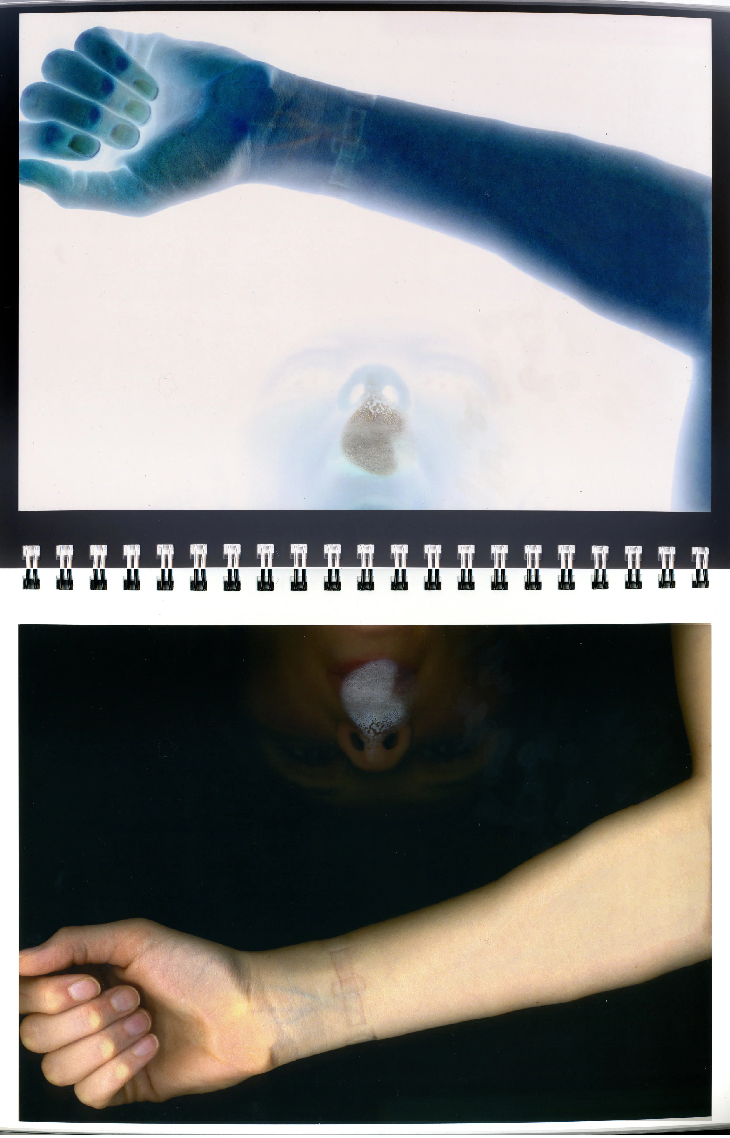 Twice Upon A Time Research Notebook details- negative and positive