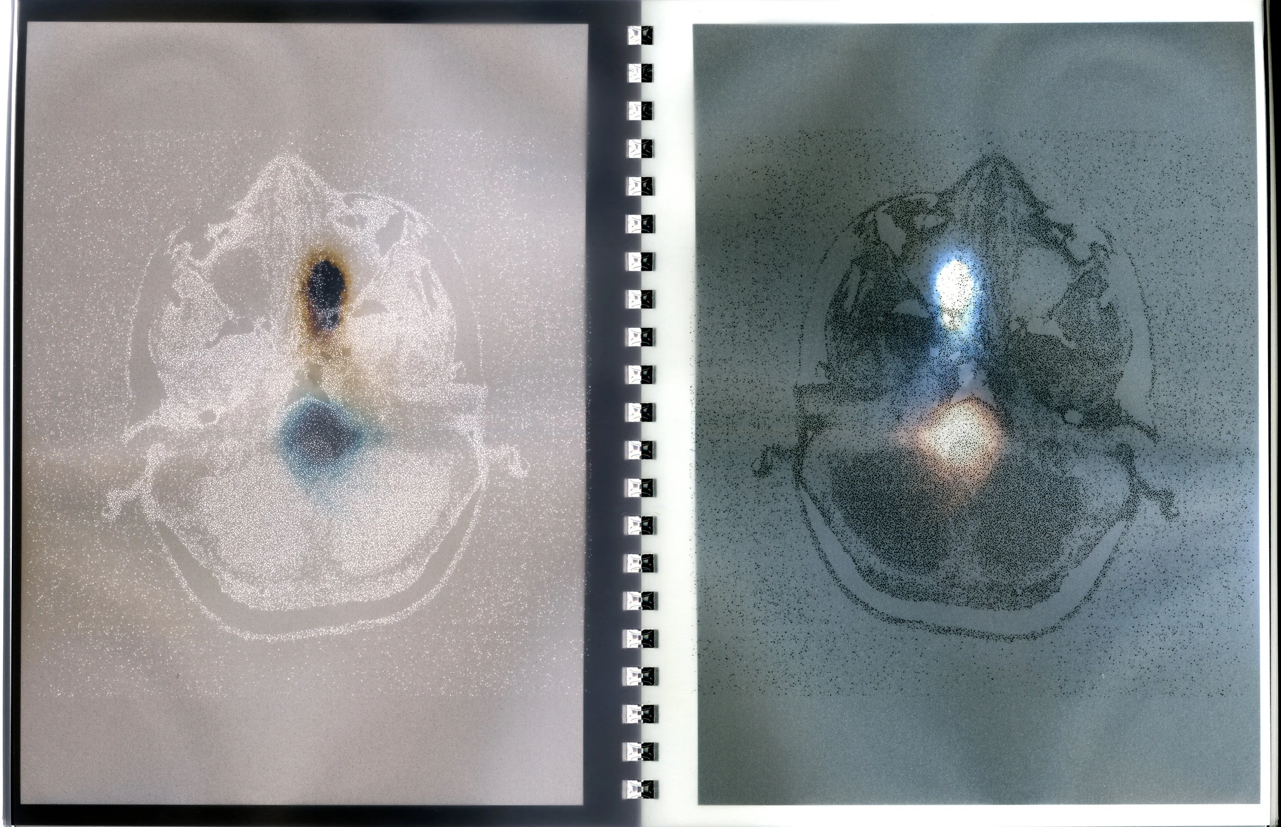 Twice Upon A Time Research Notebook details- negative and positive