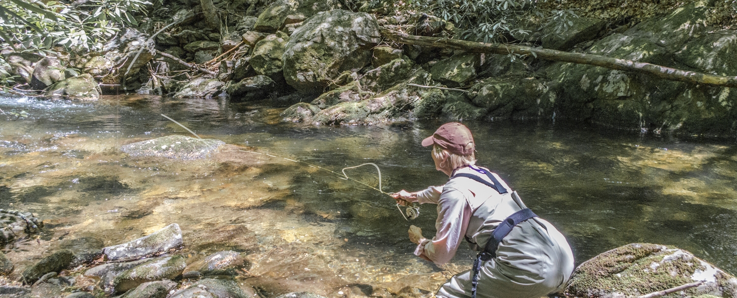 Guided Fly Fishing Wade Trips in Western North Carolina