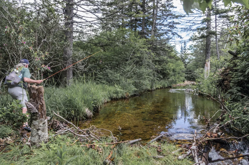 Fly Fisherman Stalks Brook Trout