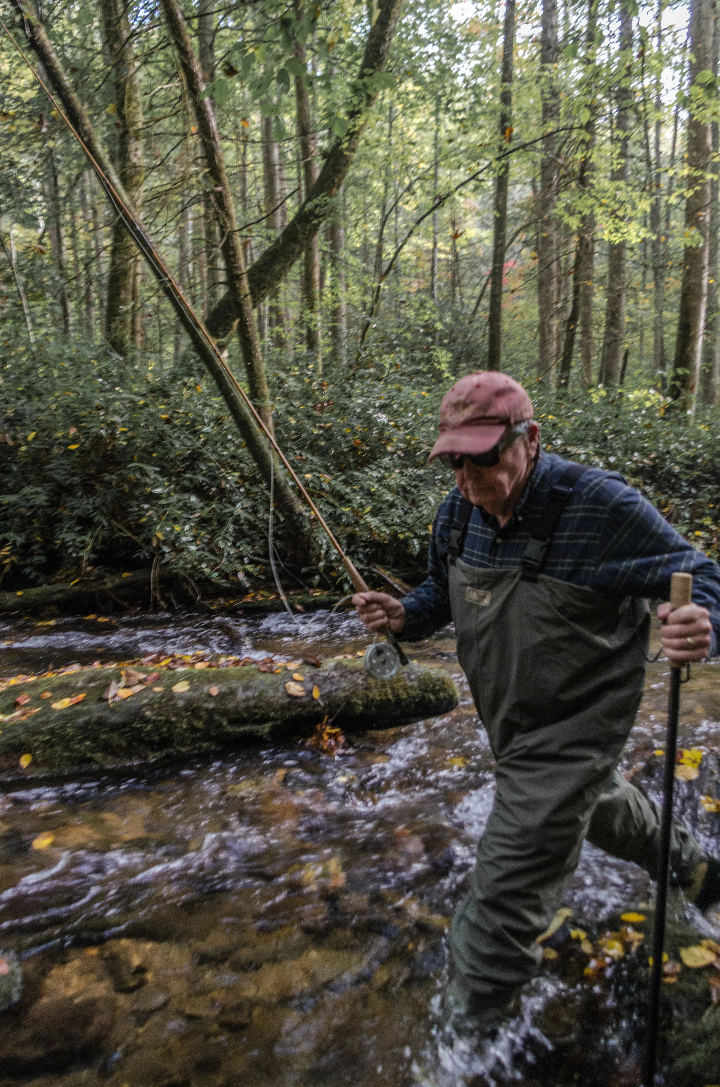 Fly Fishing in Pisgah National Forest