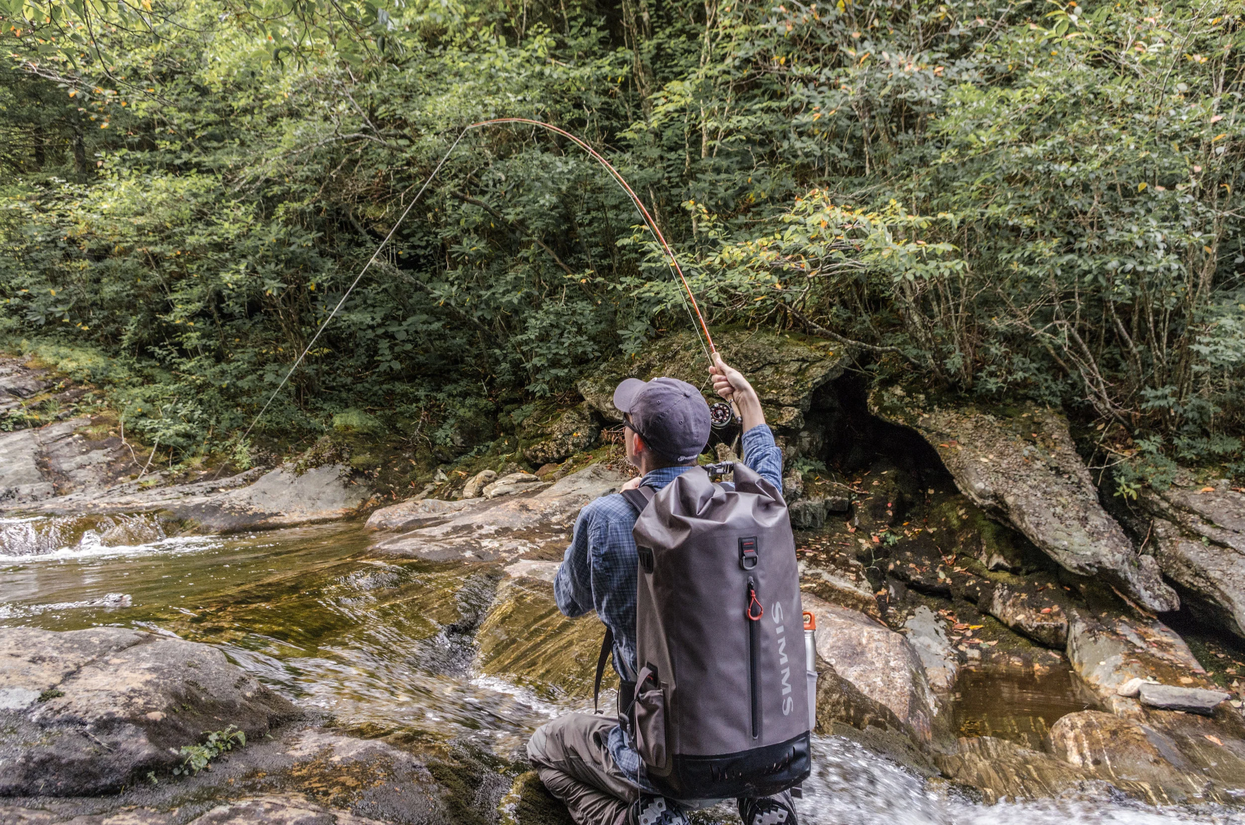 Brook Trout Fly Fishing on a Small Stream in Pisgah National Forest