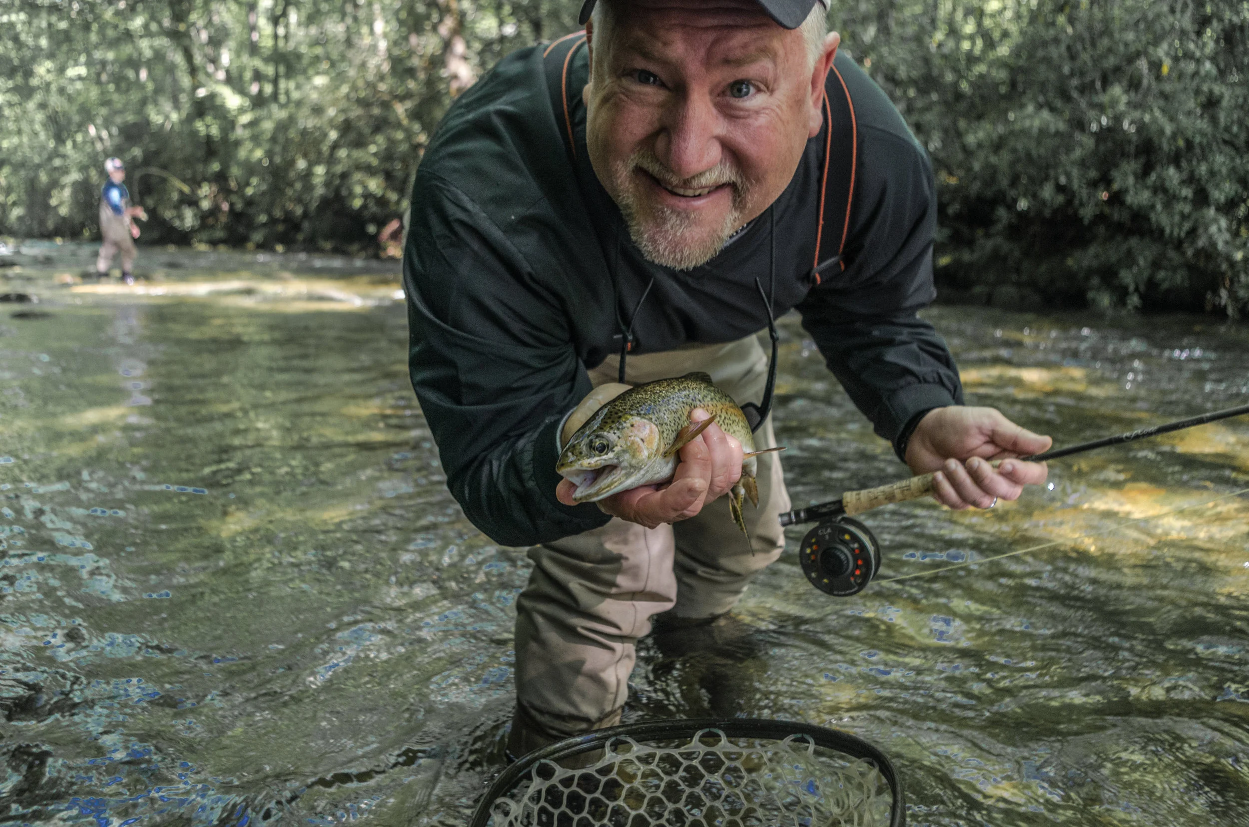 Davidson River Rainbow Trout