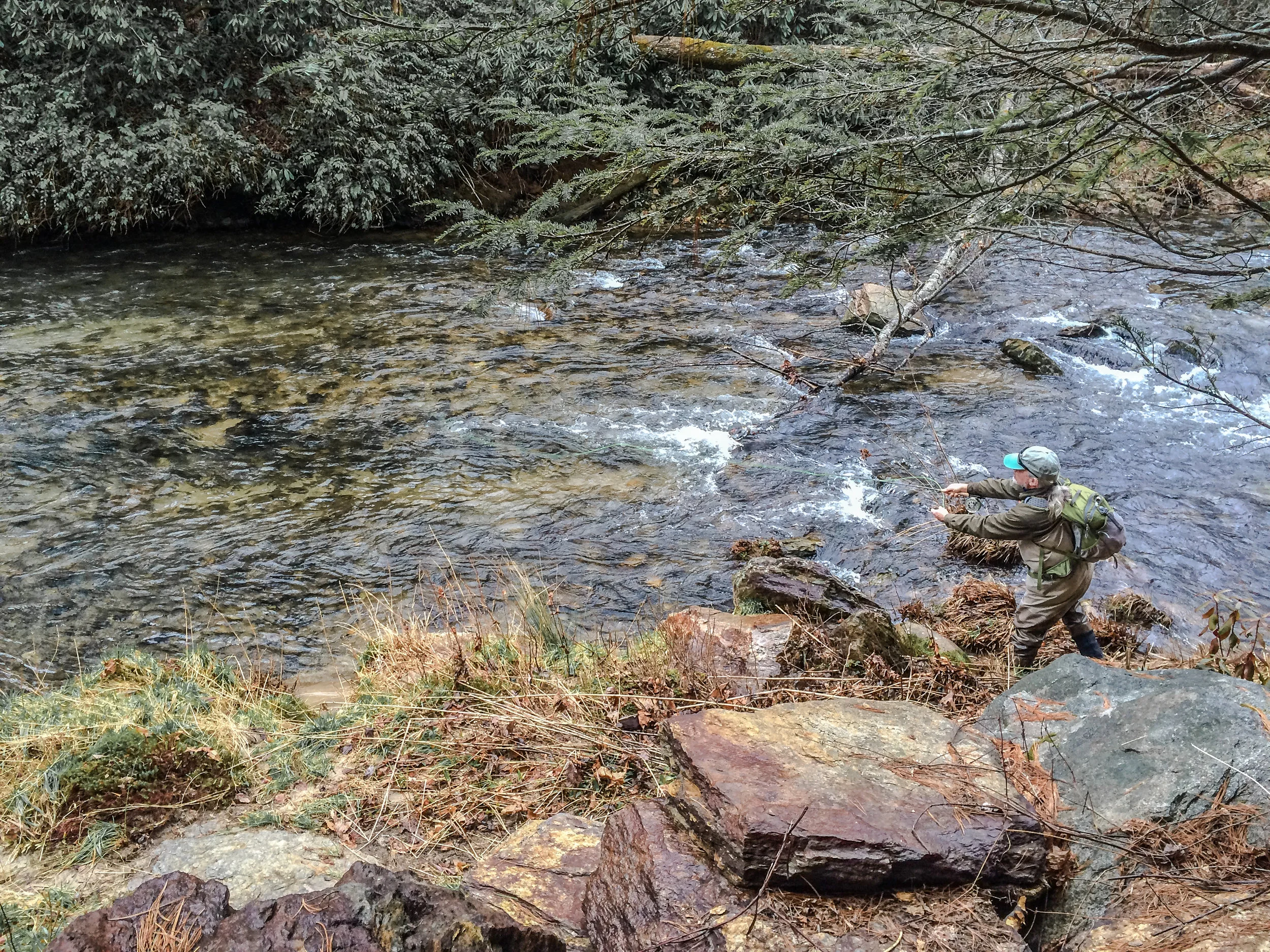 Fly Fishing the Davidson River