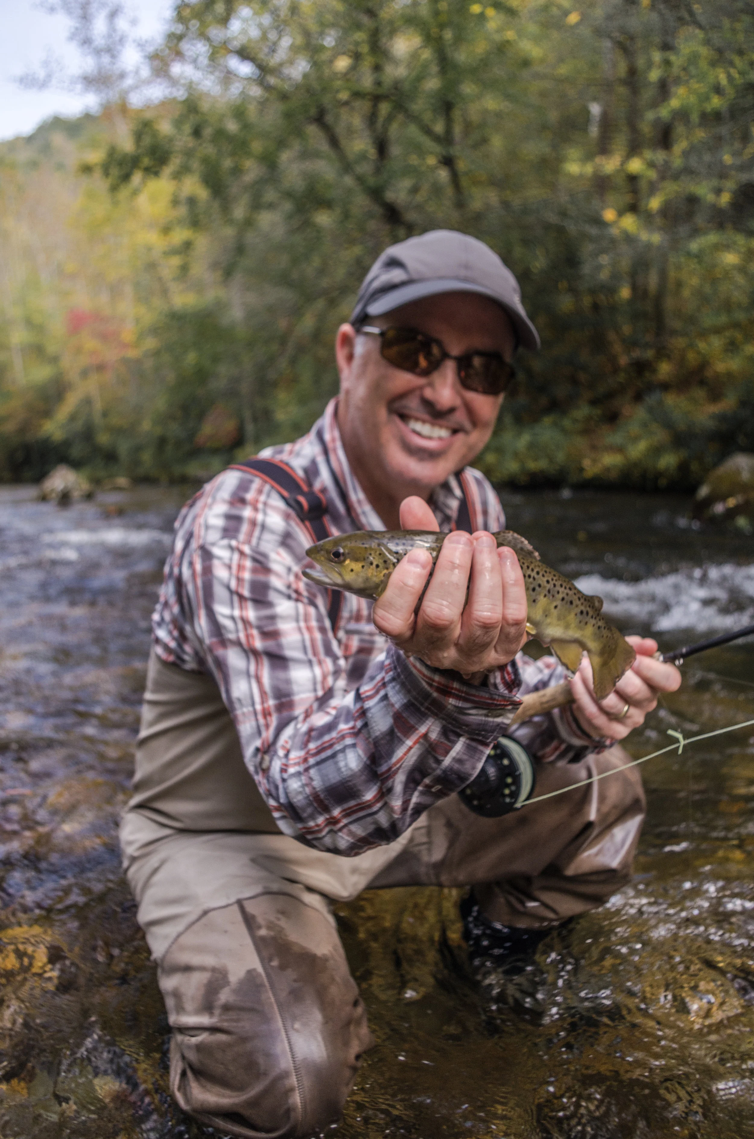 Davidson River Brown Trout