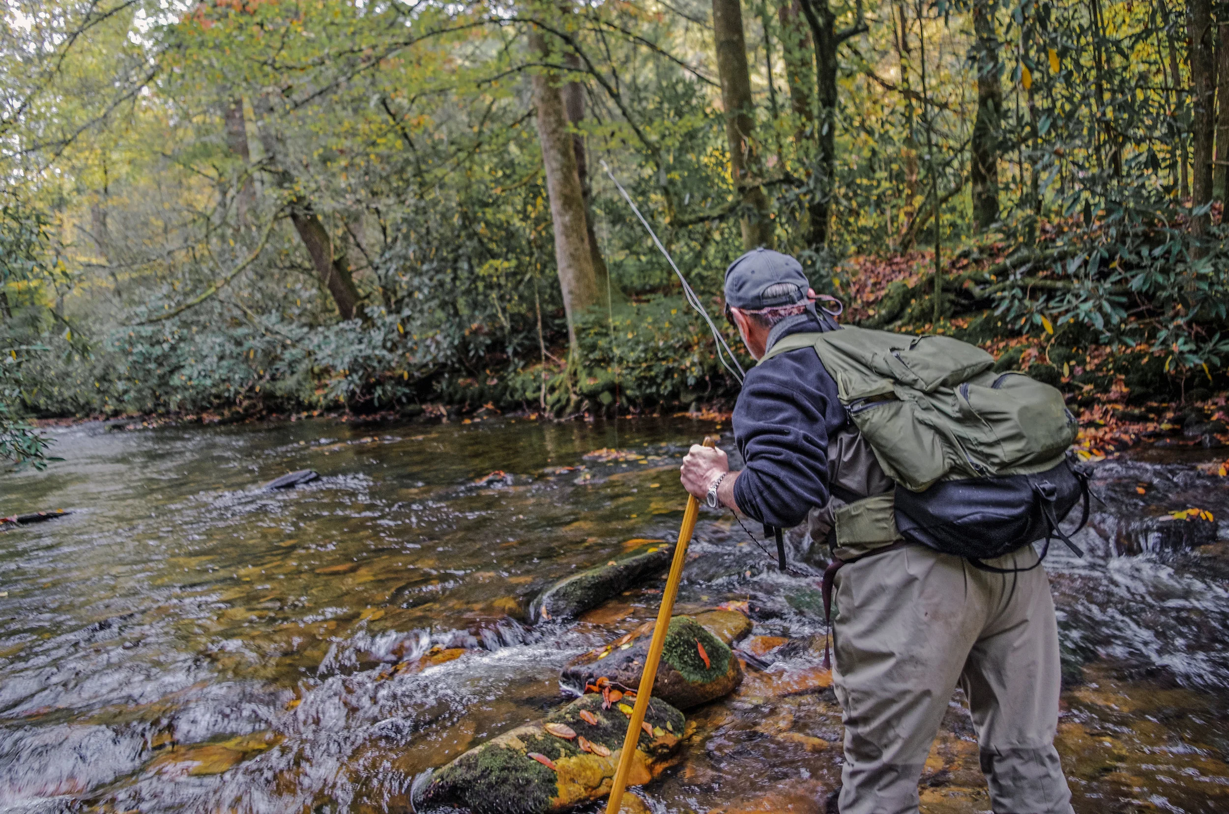 Fly Fishing the South Mills River