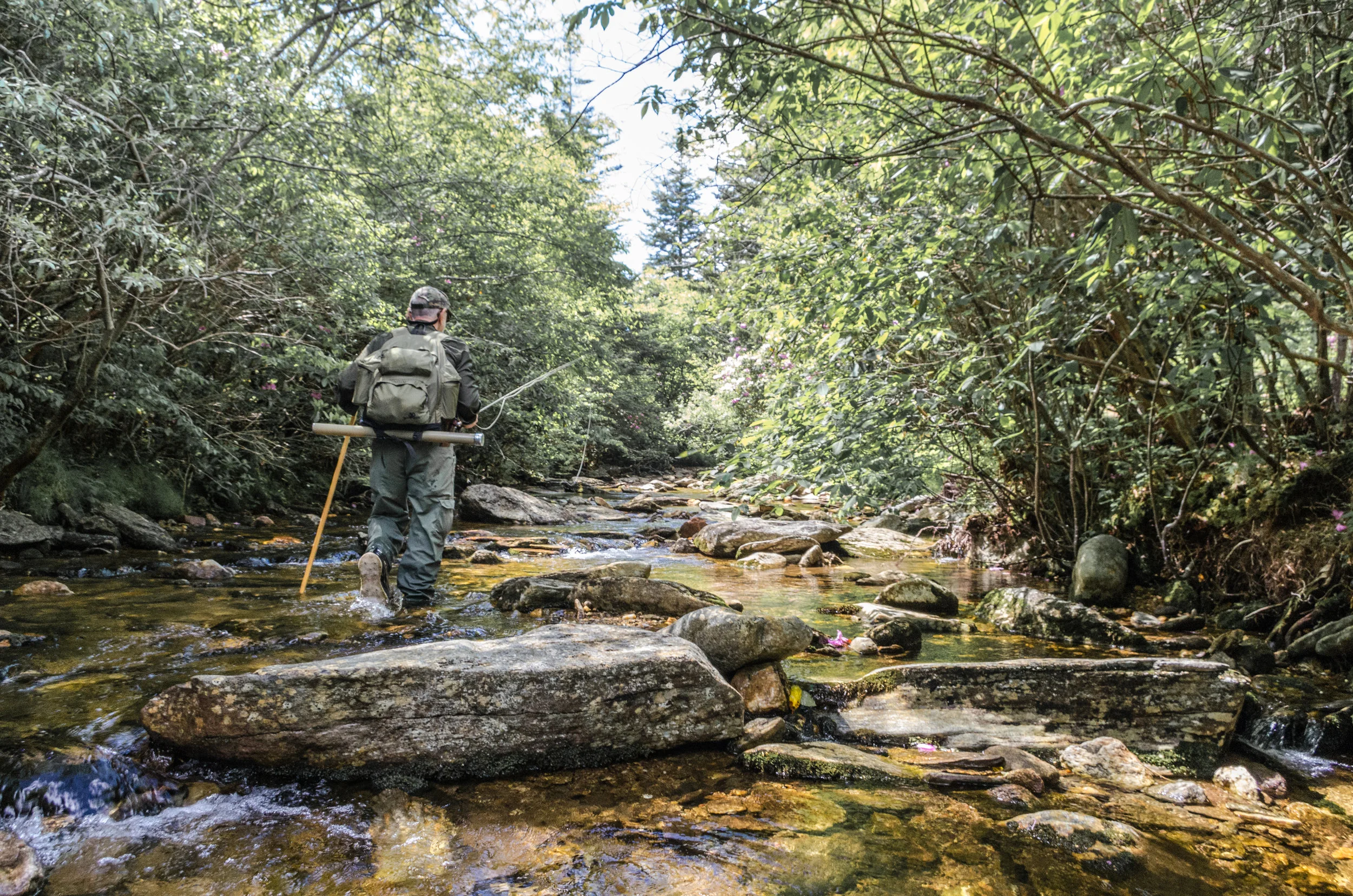 Headed up a Brook Trout Stream