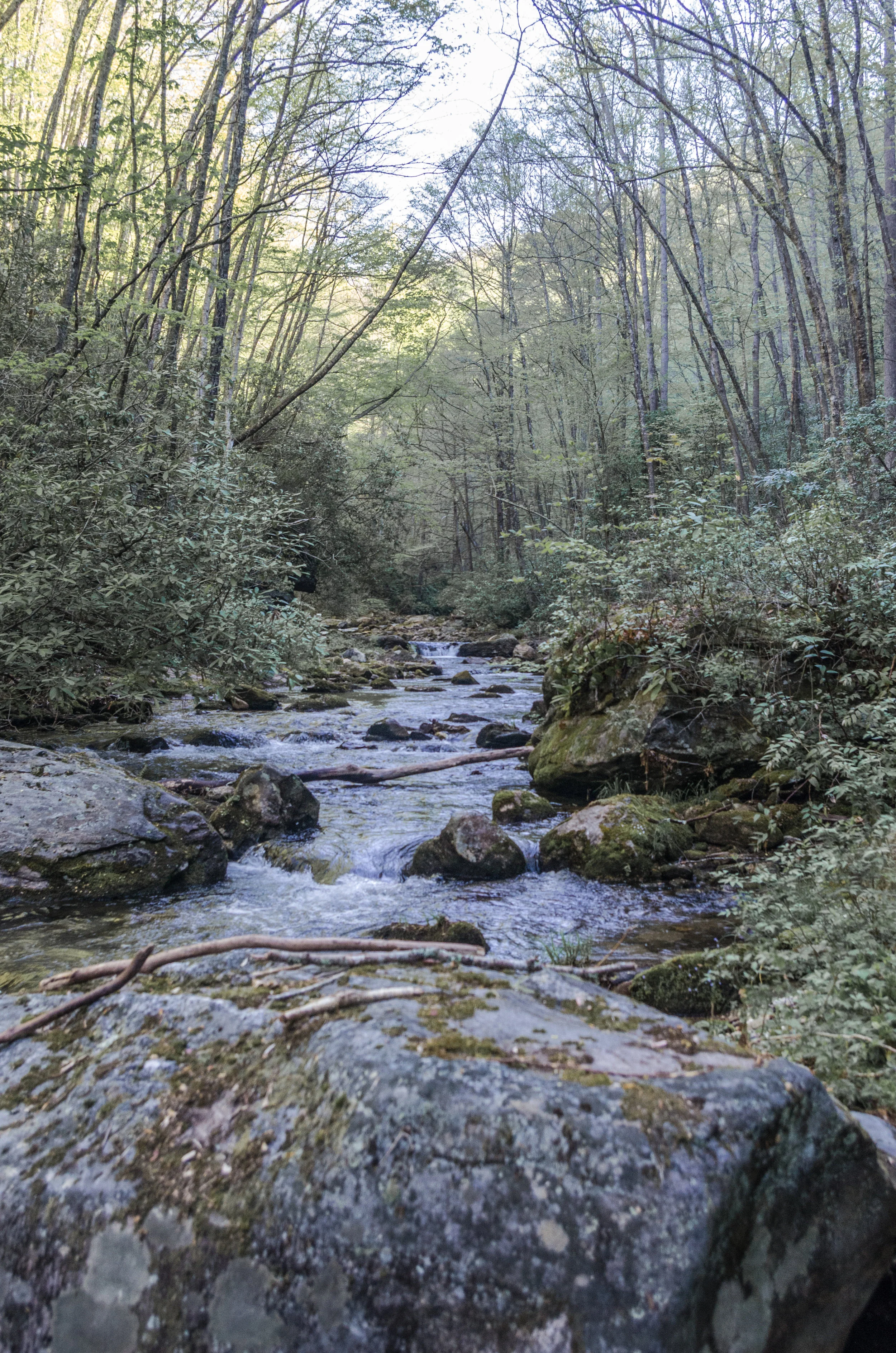Photo Credit: Heath Cartee