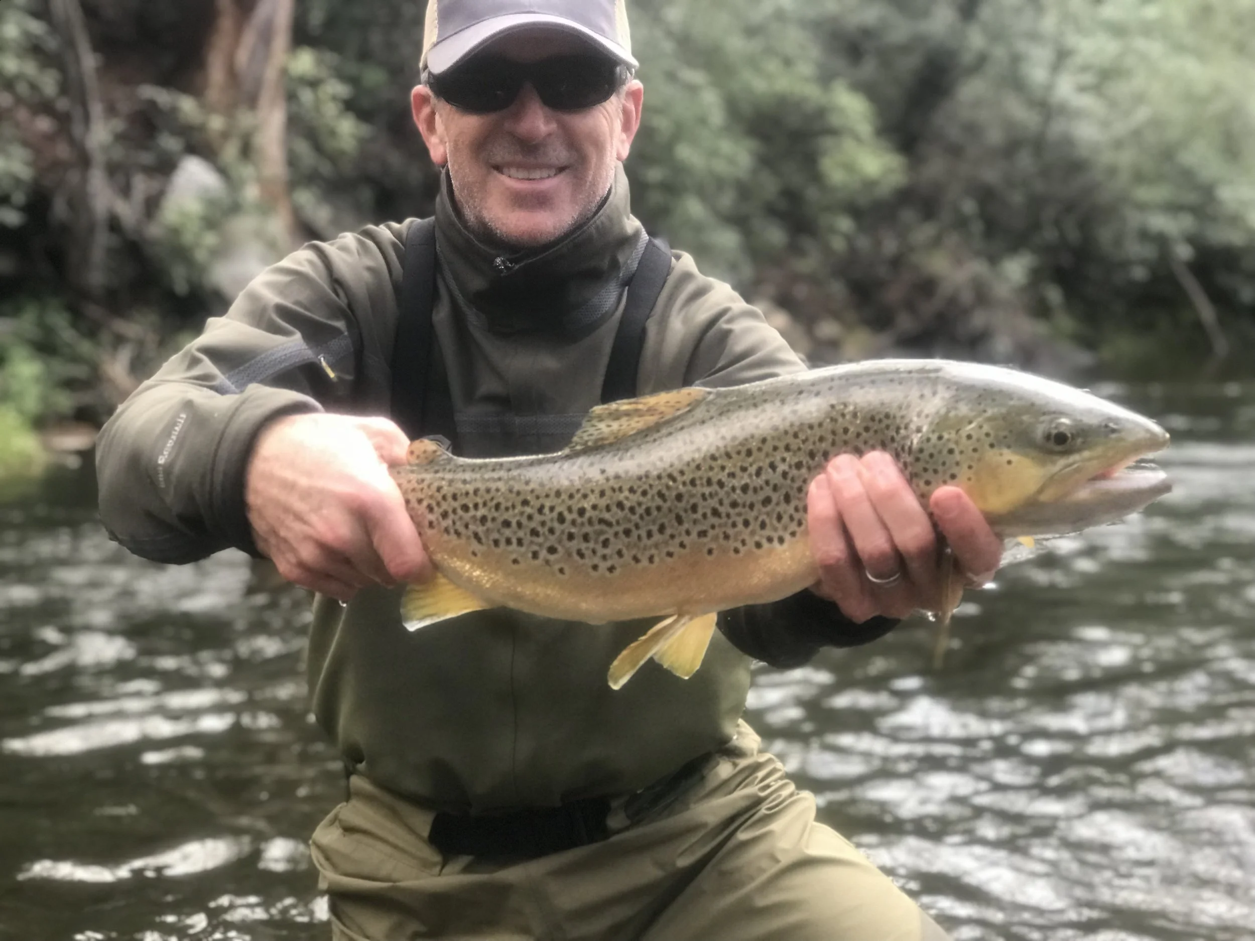 Davidson River Brown Trout