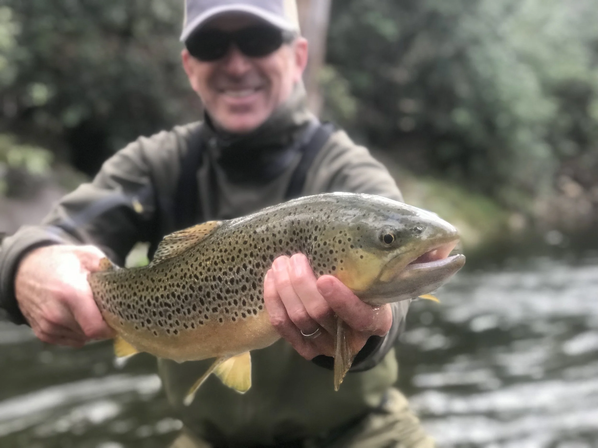 Trophy Brown Trout Public Waters North Carolina Davidson River North Carolina .jpg