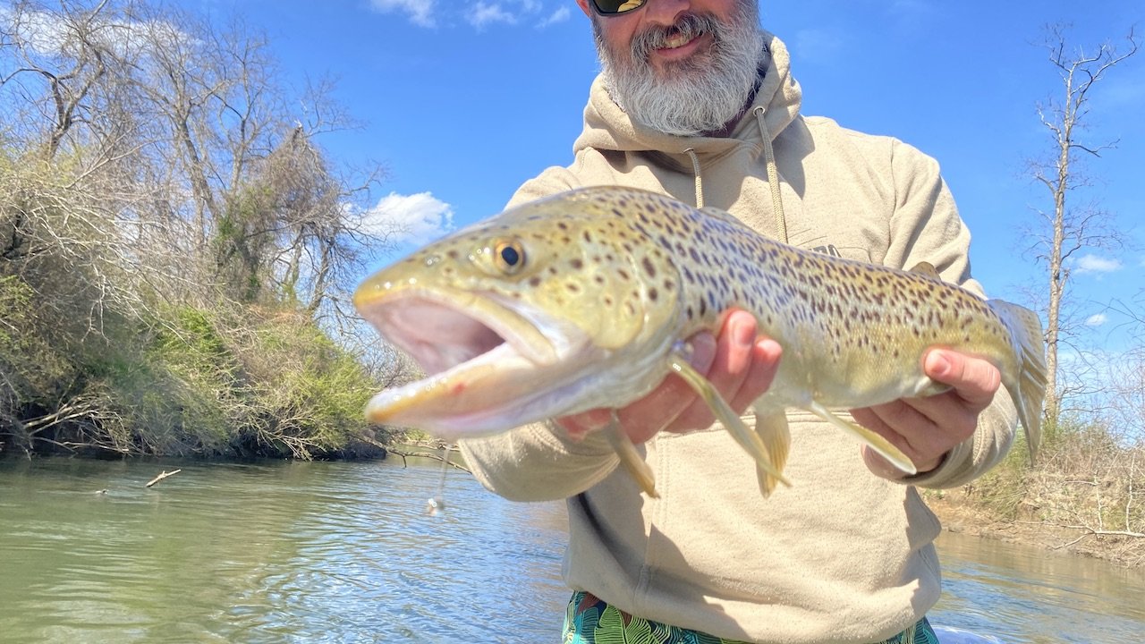 Nippers / Line Cutters - Rainbow Trout Finish