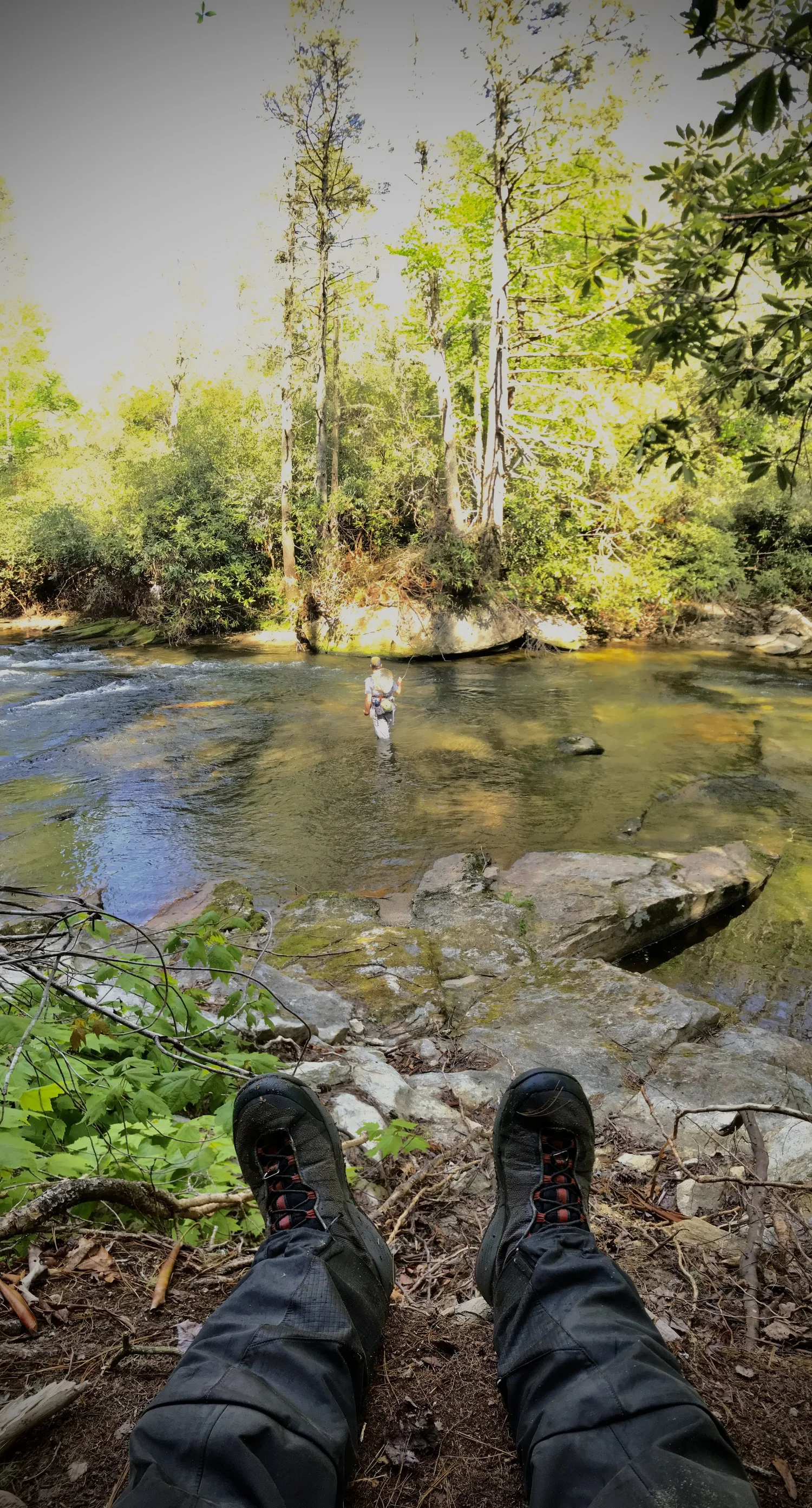 Fishing Pisgah National Forest Pisgah Outdoors