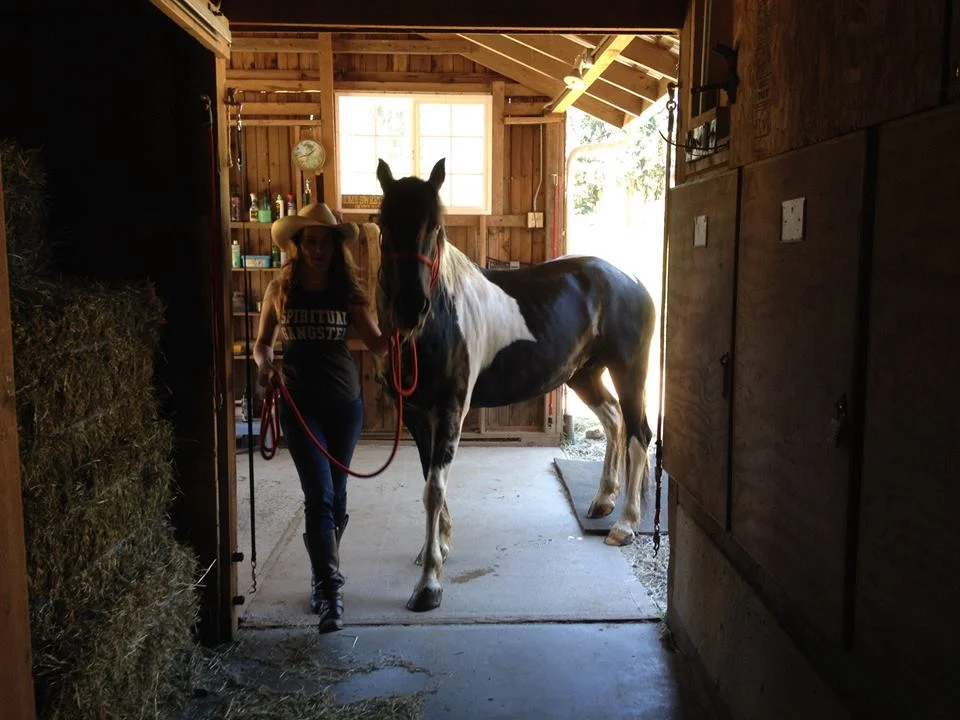 kai and bree barn.jpg