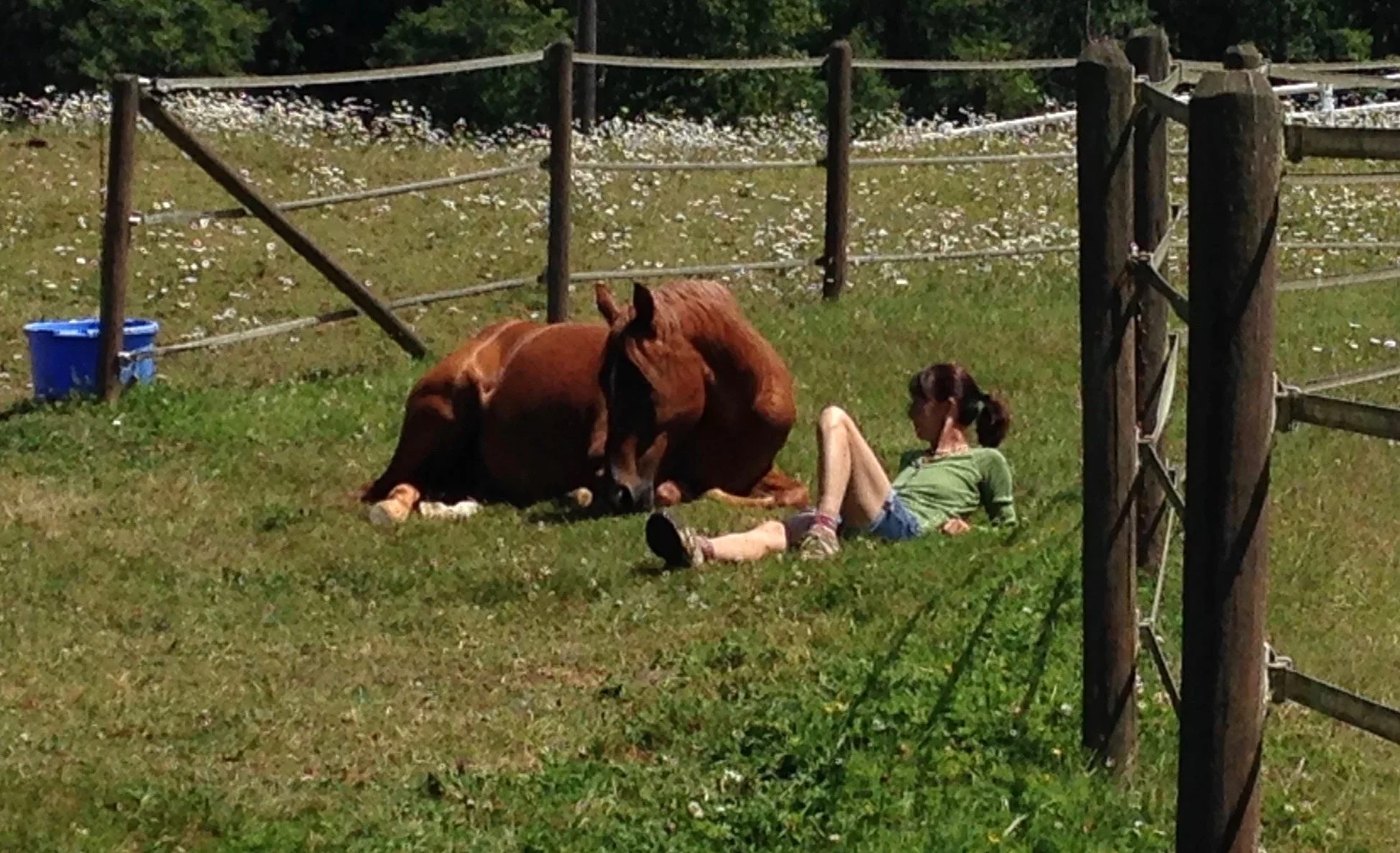 sparty lounging.jpg