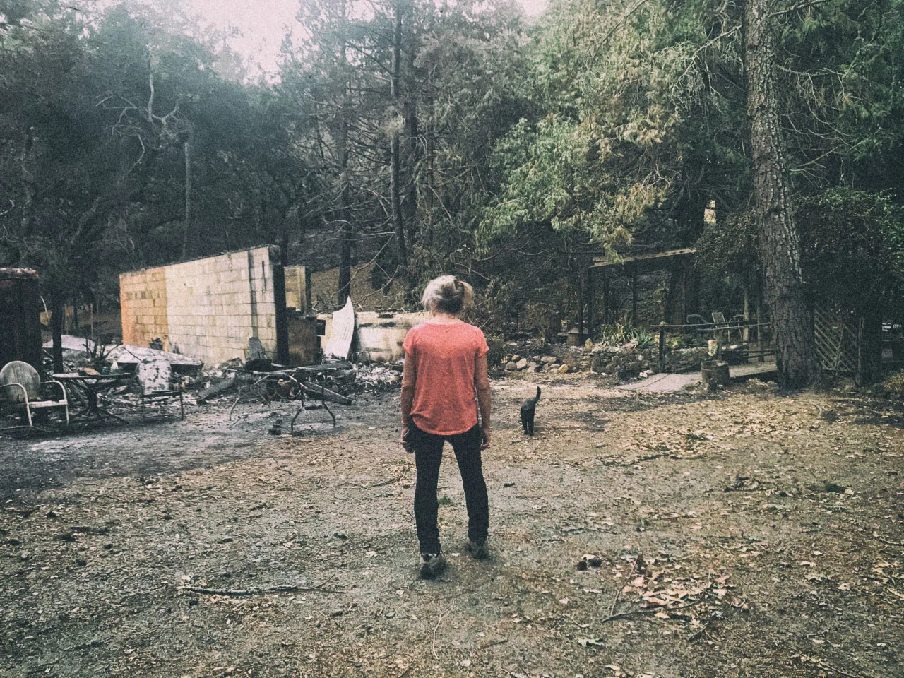 The studio now after the fire. Claudette surveys the damage with her kitten Midnight, who miraculously survived the worst of it all.