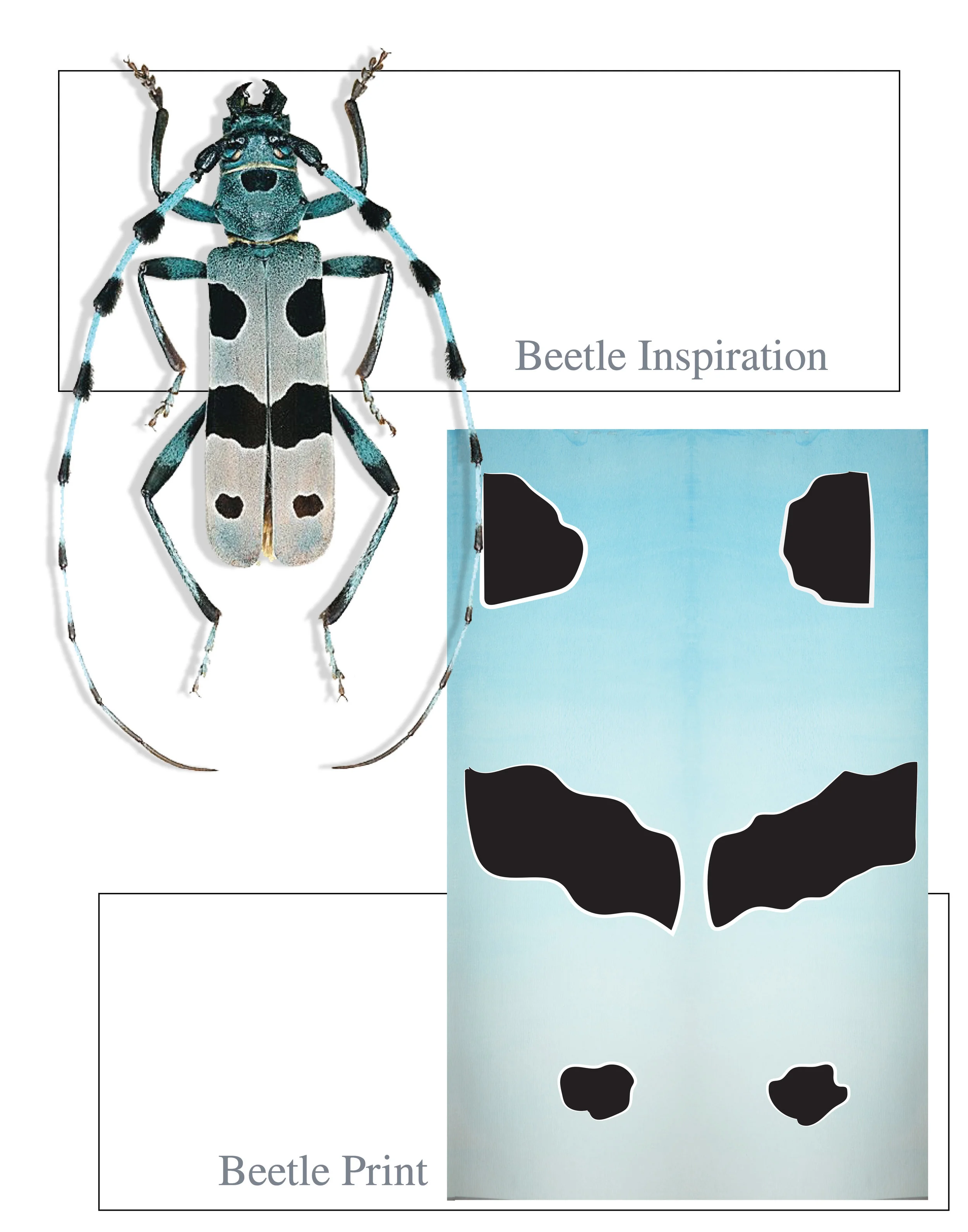Webprint3(1).jpg