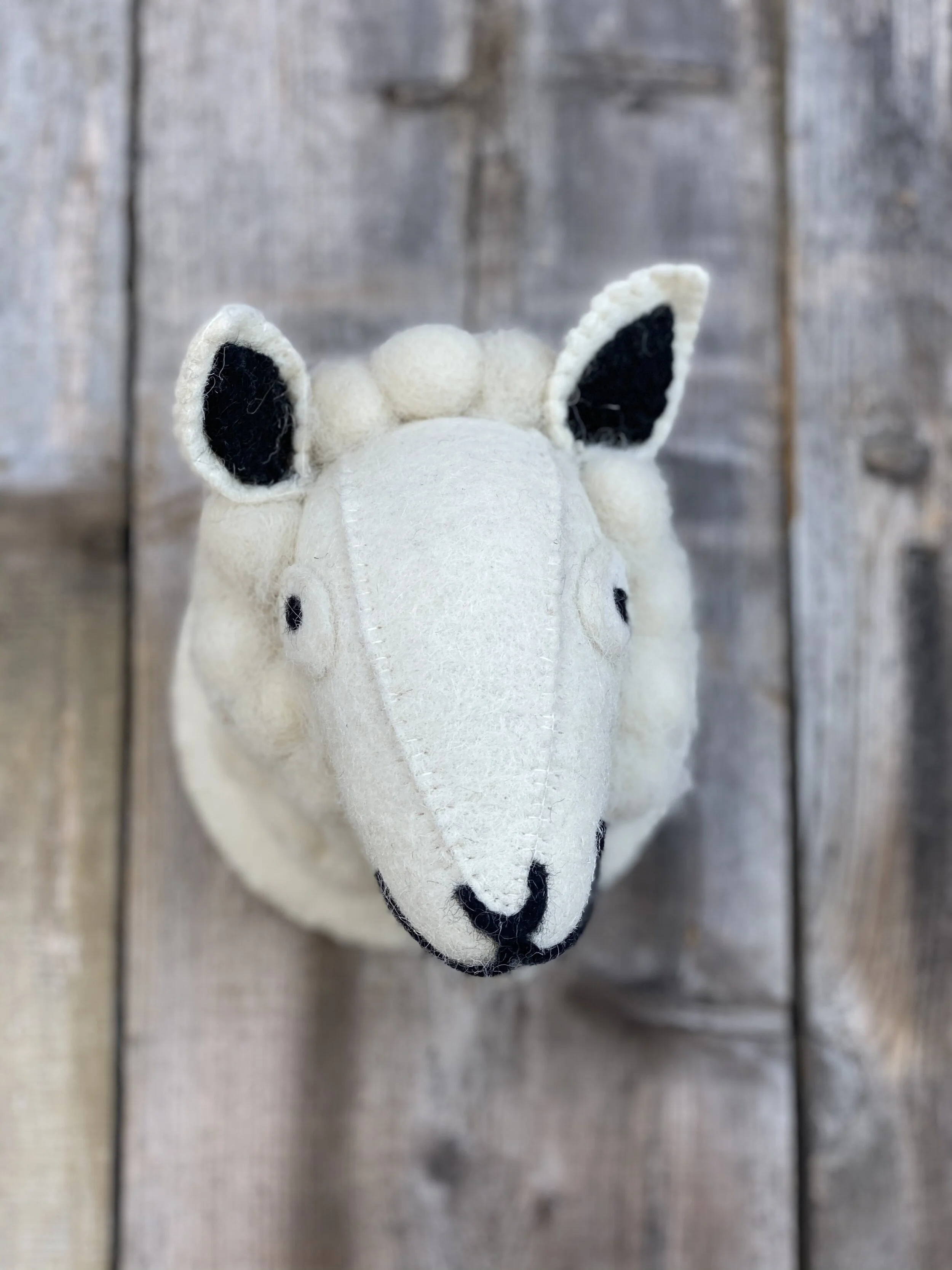 A6A7C677-3D14-4F62-955E-8FB4768289BA