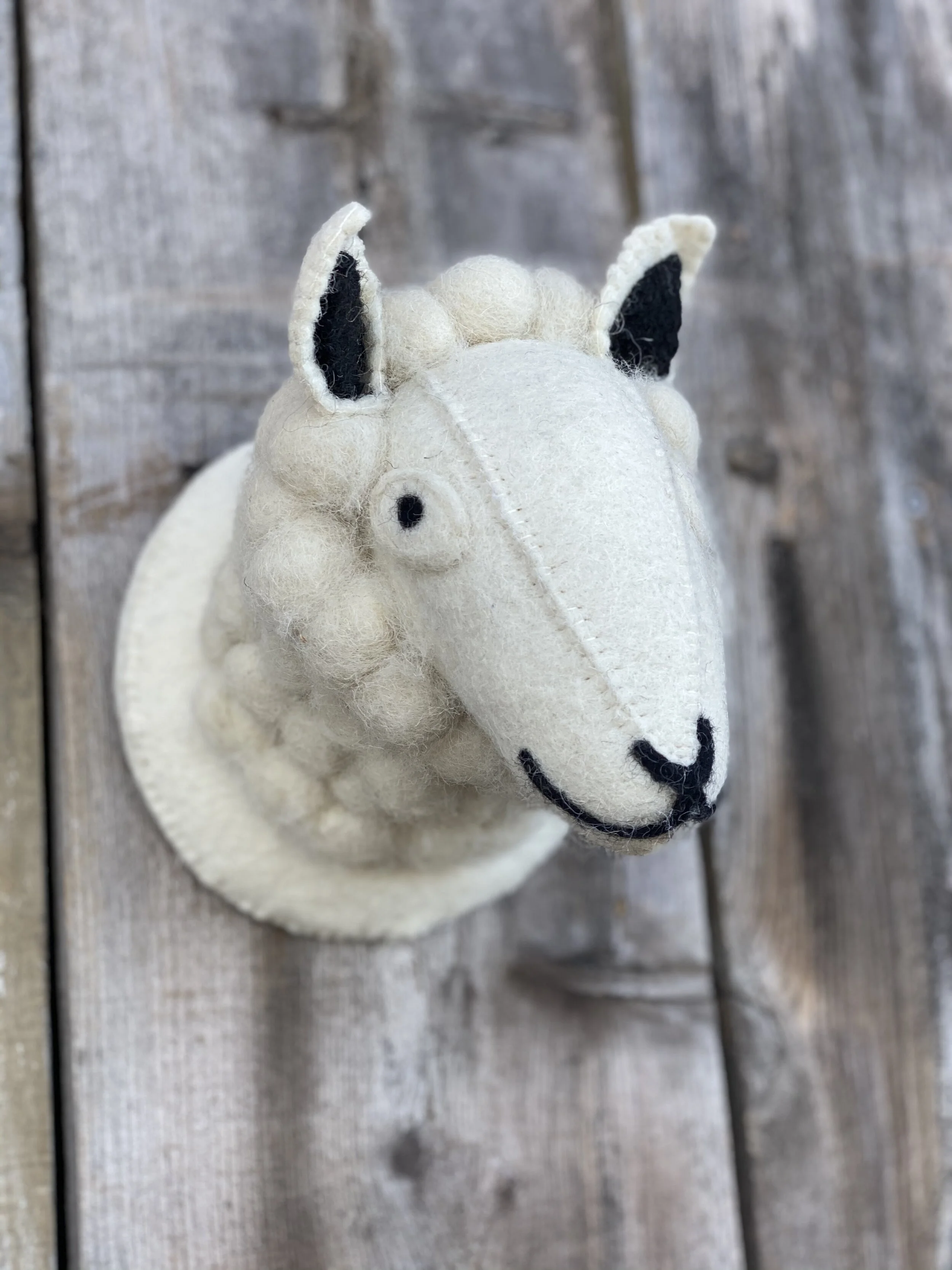 BC1FD5E4-0D61-4B34-88E3-64ABC8F12E78