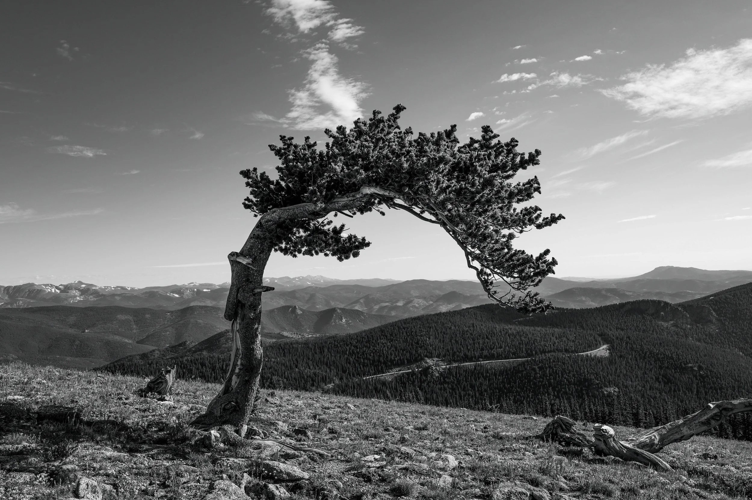 DSC_8397-Edit.jpg