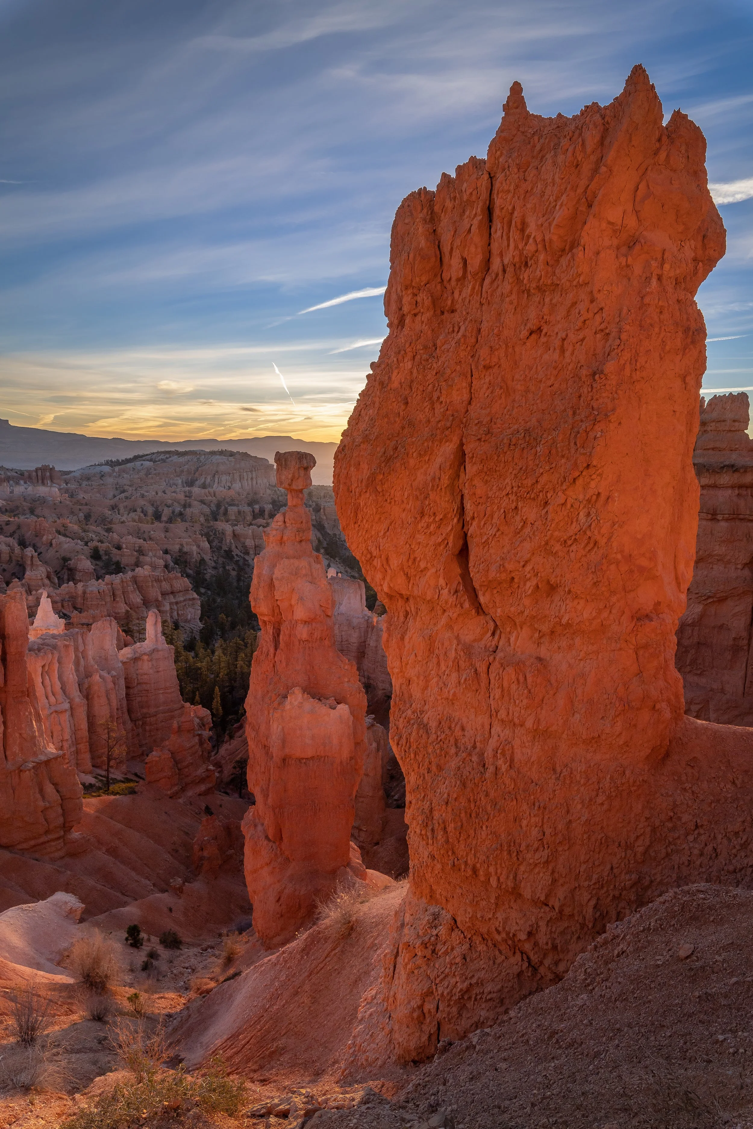 DSC_3573-Edit.jpg