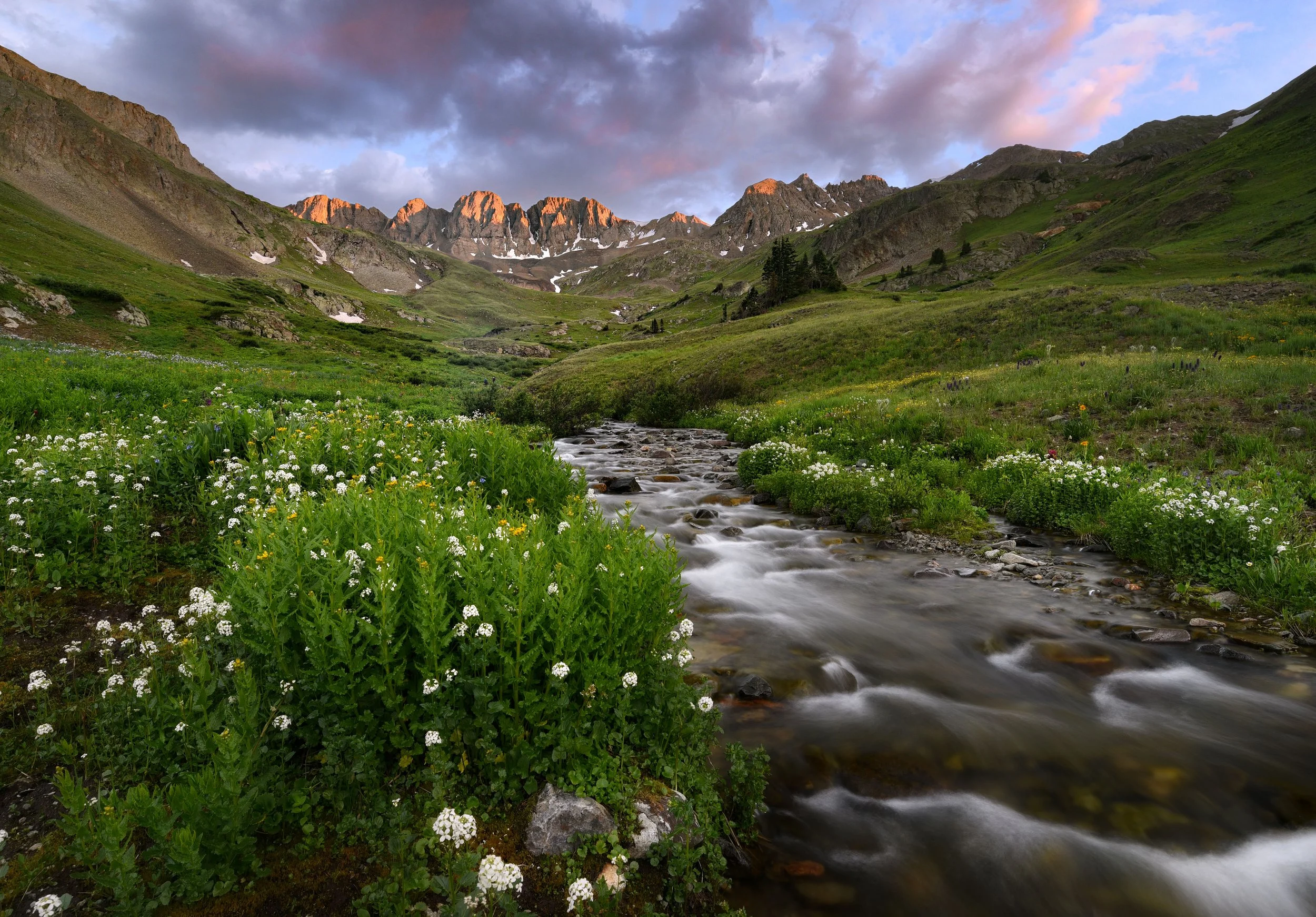 DSC_0962-Edit-Edit.jpg