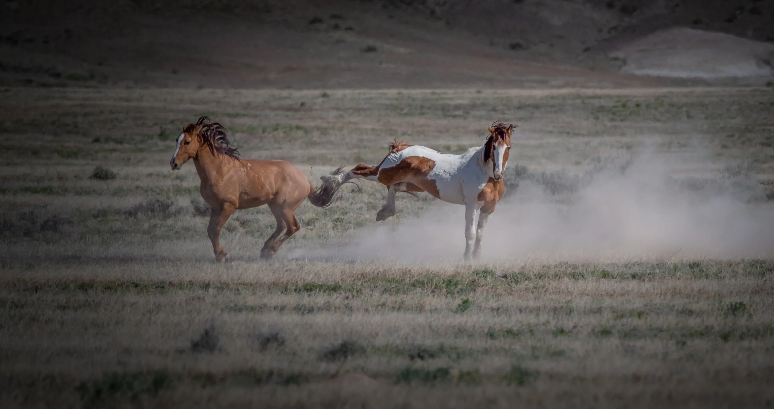 DSC_8871-Edit-2.jpg