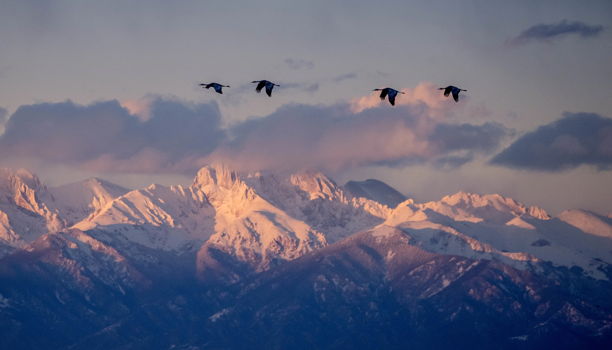 DSC_8537-Edit.jpg