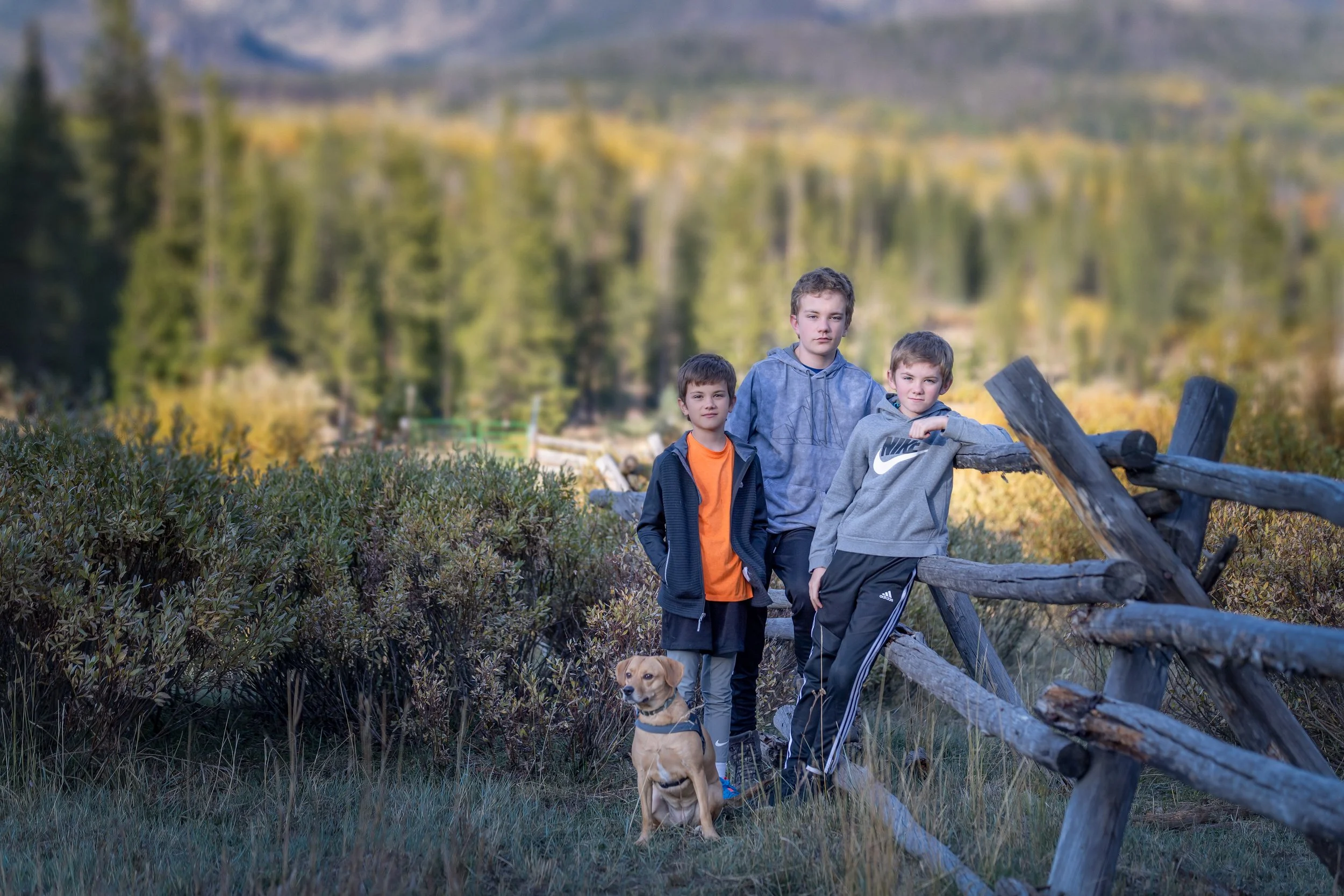 DSC_2574-Edit-Edit.jpg