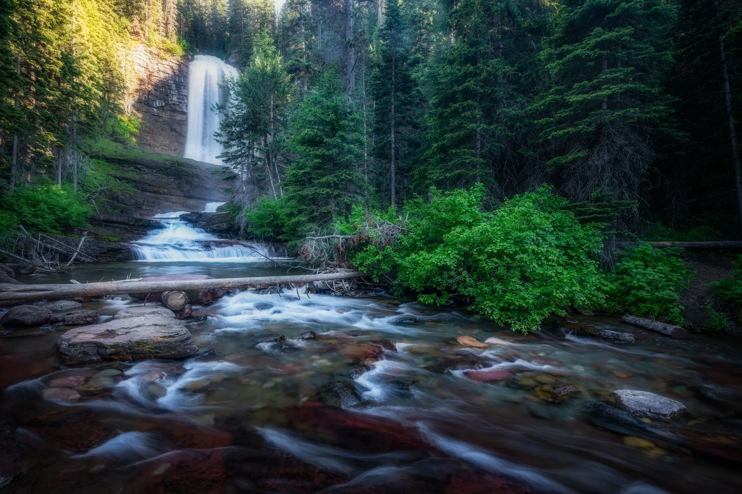 DSC_1988-Edit-Edit.jpg