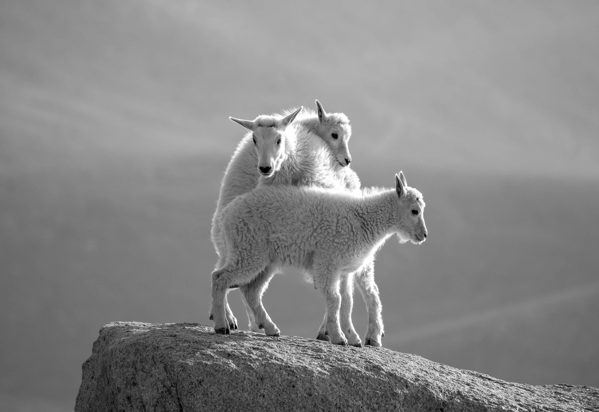 DSC_0620-Edit-2.jpg