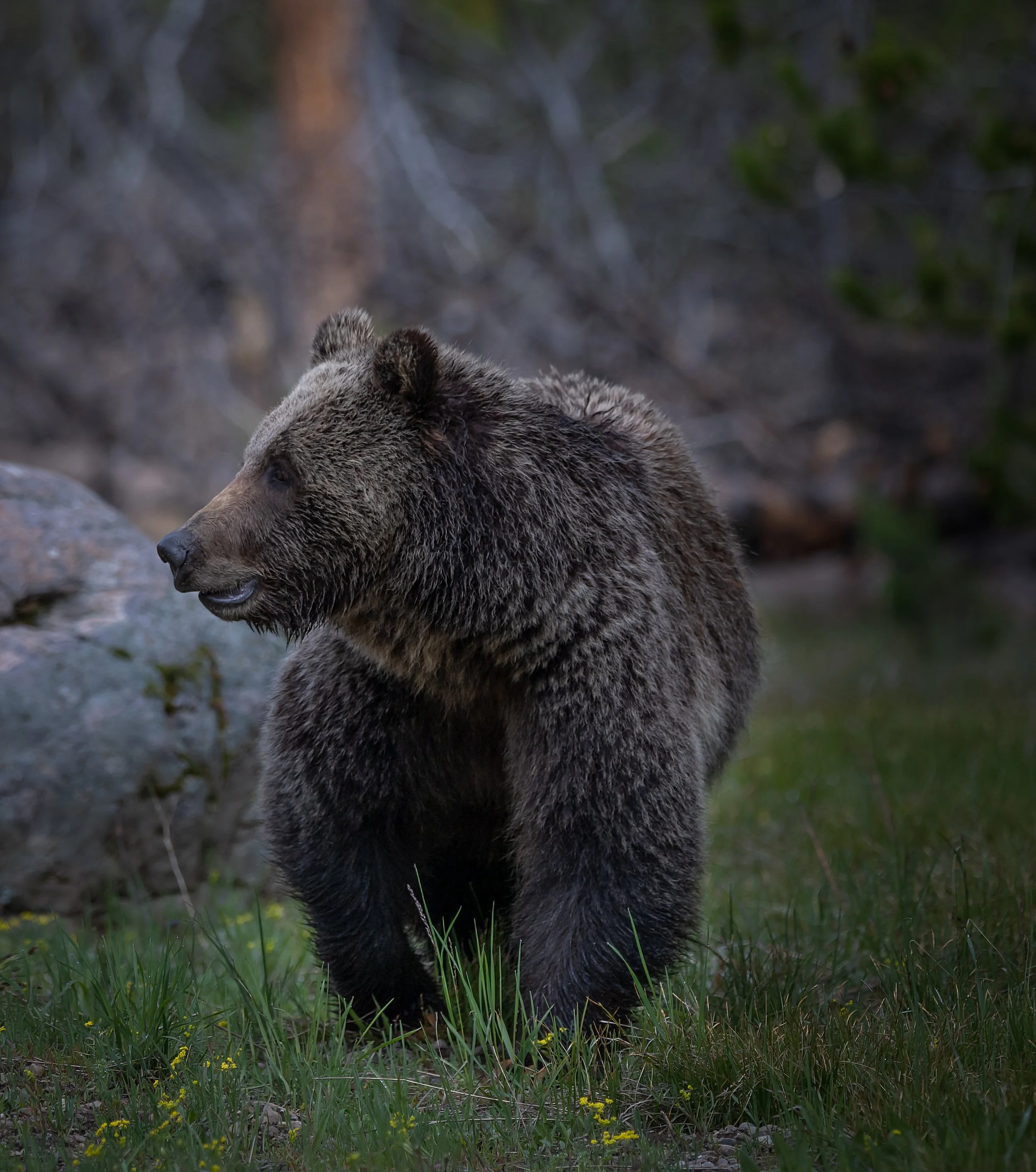 DSC_3879-Edit.jpg
