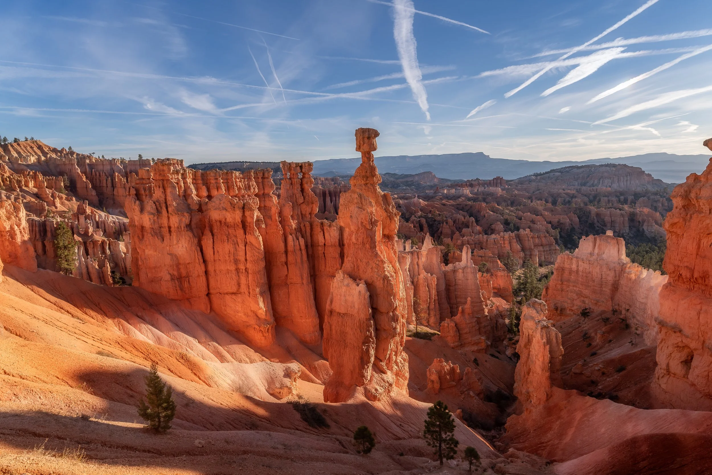 DSC_3719-Edit.jpg