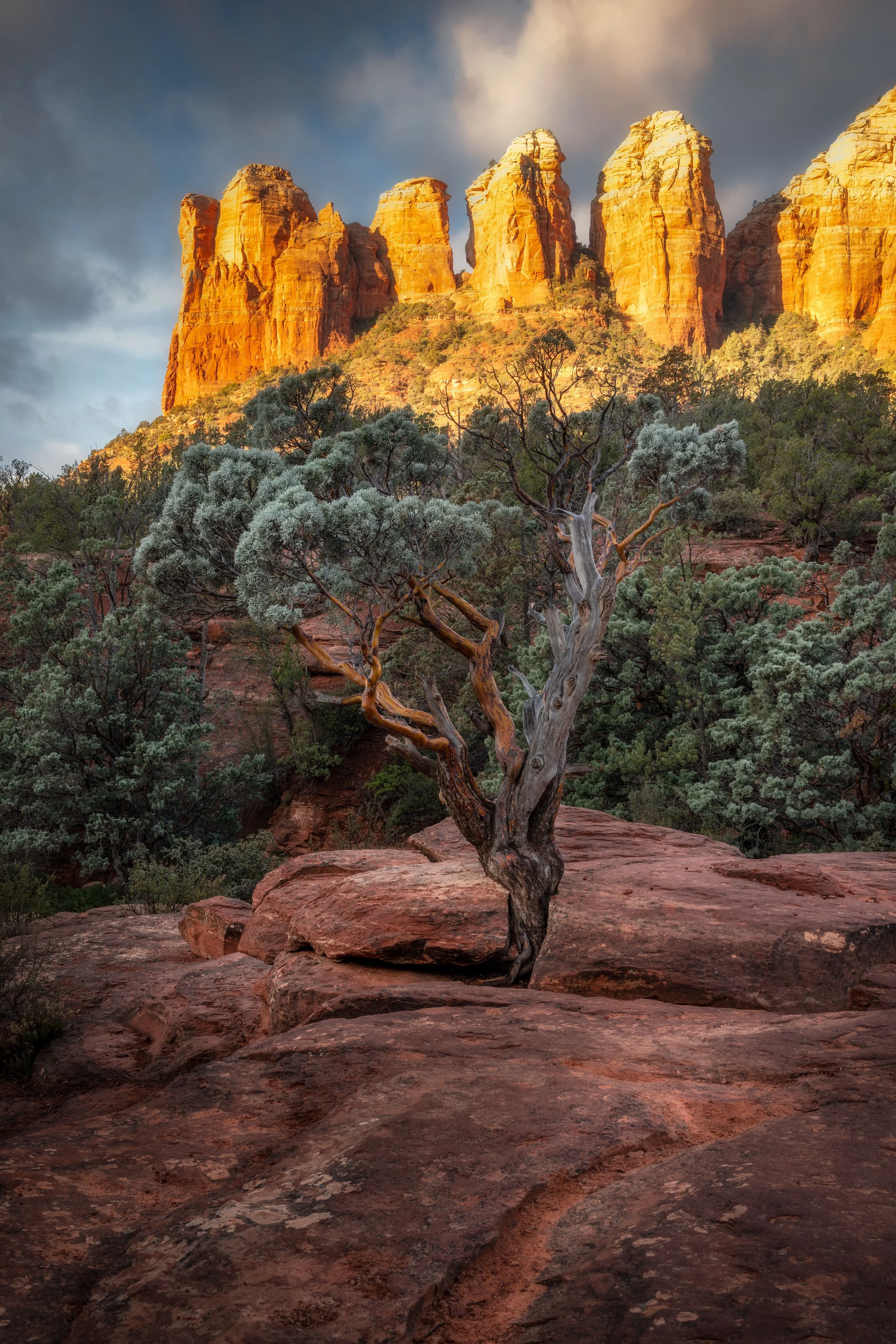 _DSC0162-Edit-Edit-Edit.jpg
