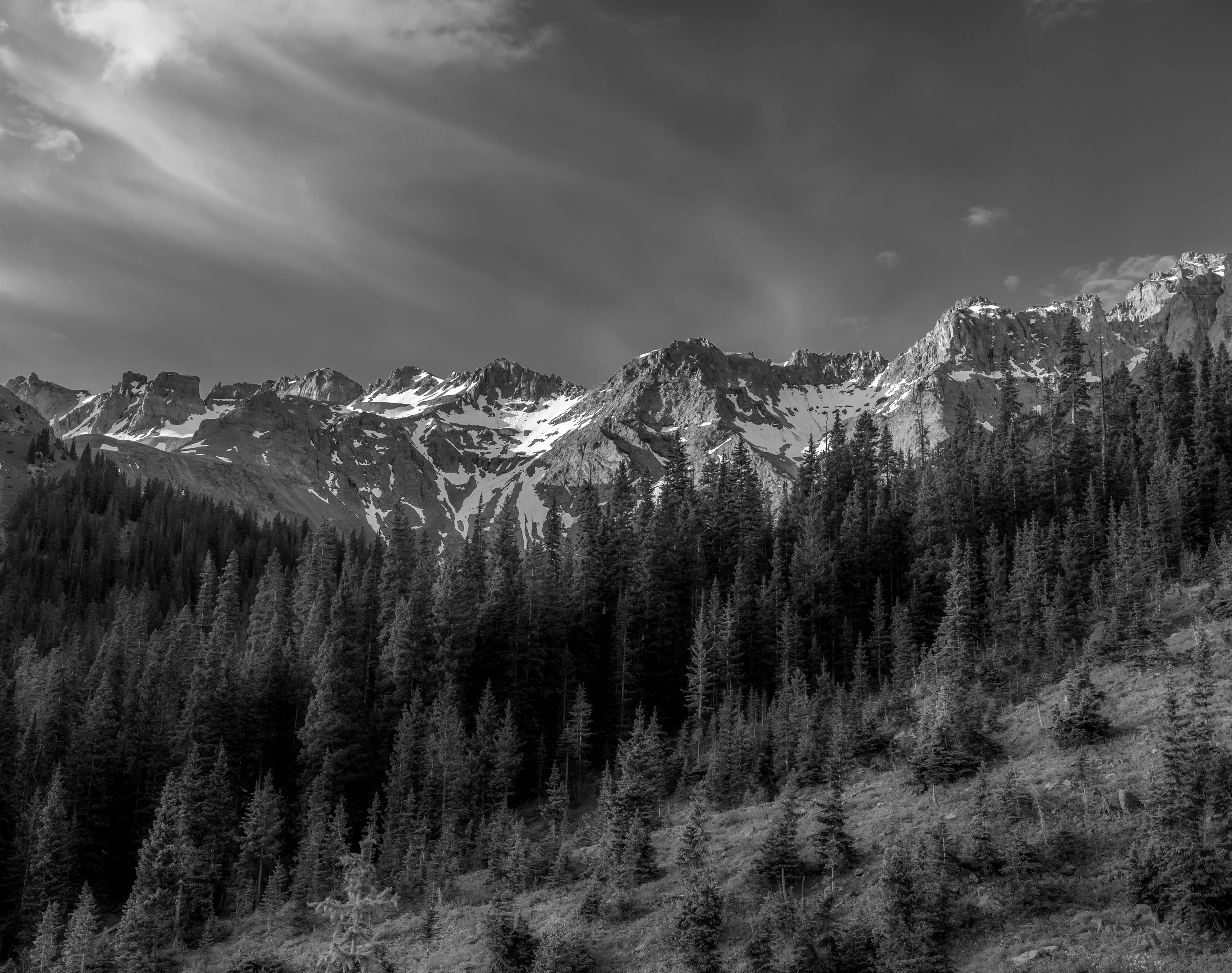 DSC_6403-Edit-2.jpg