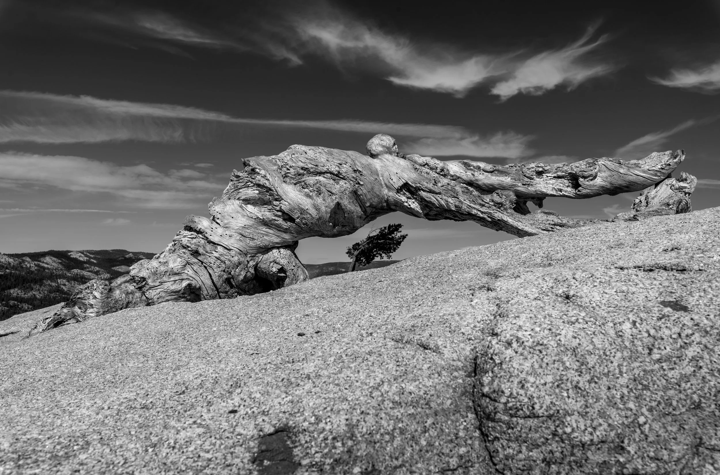 DSC_2645-Edit.jpg