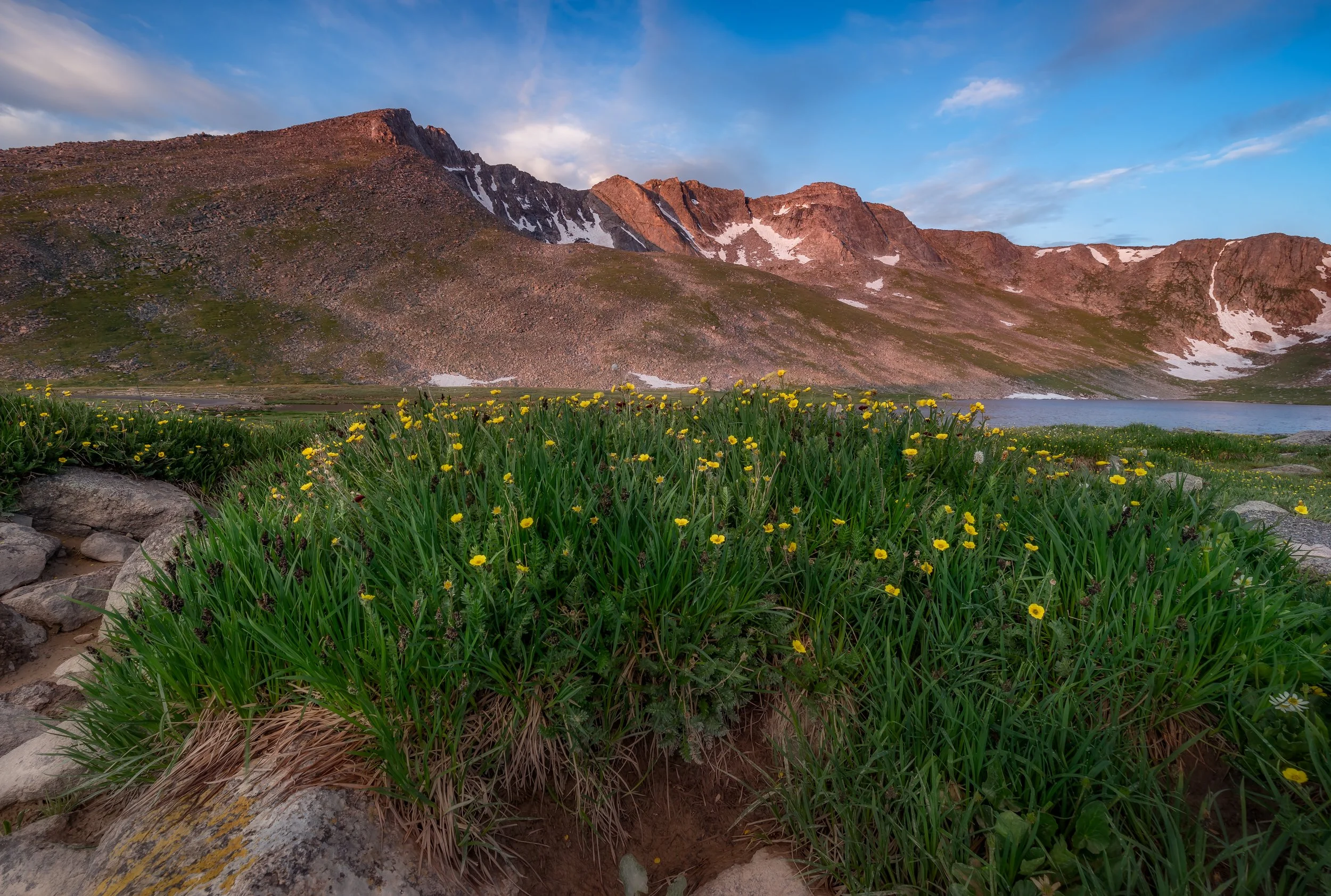 DSC_0187-Edit.jpg