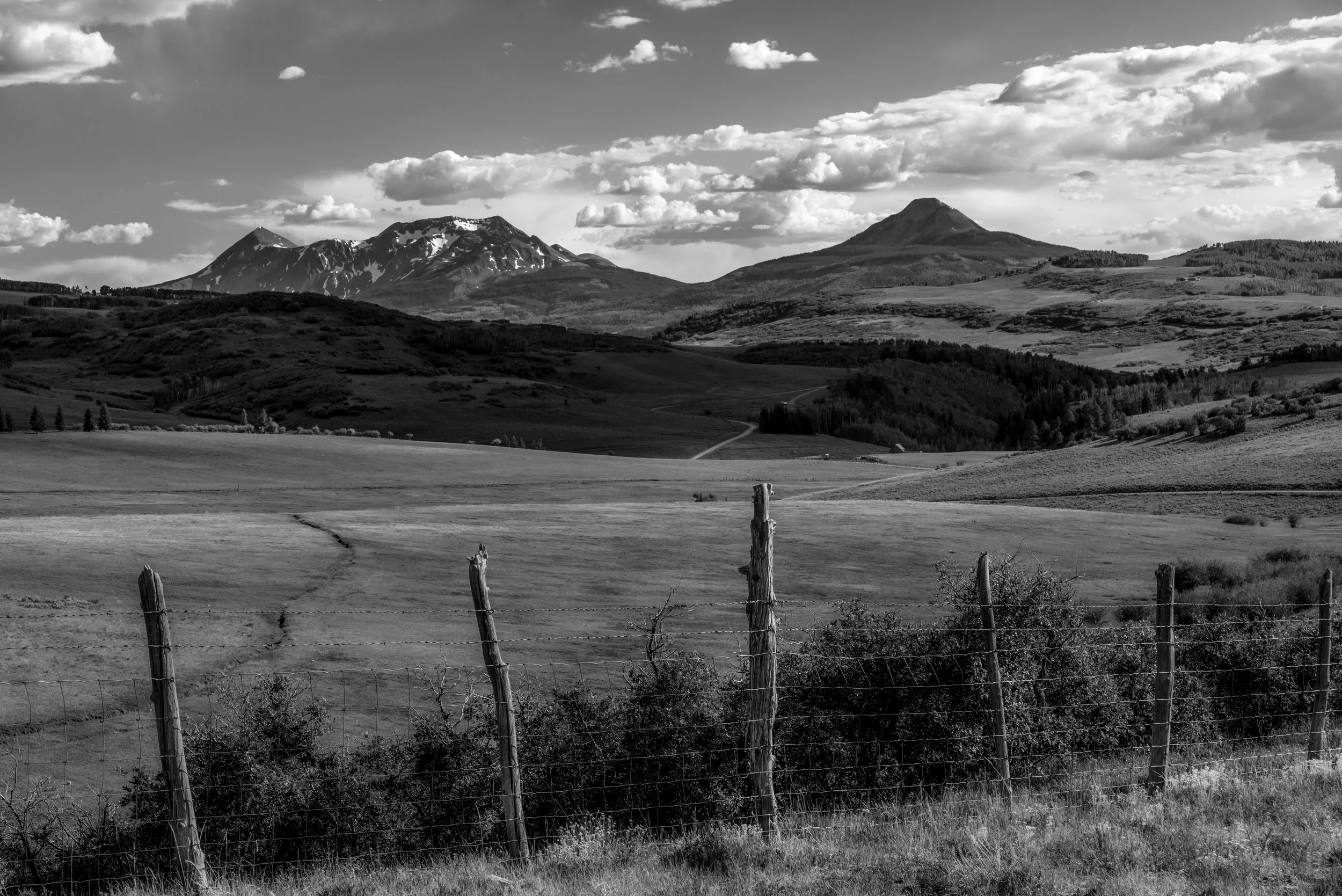 DSC_6377-Edit.jpg