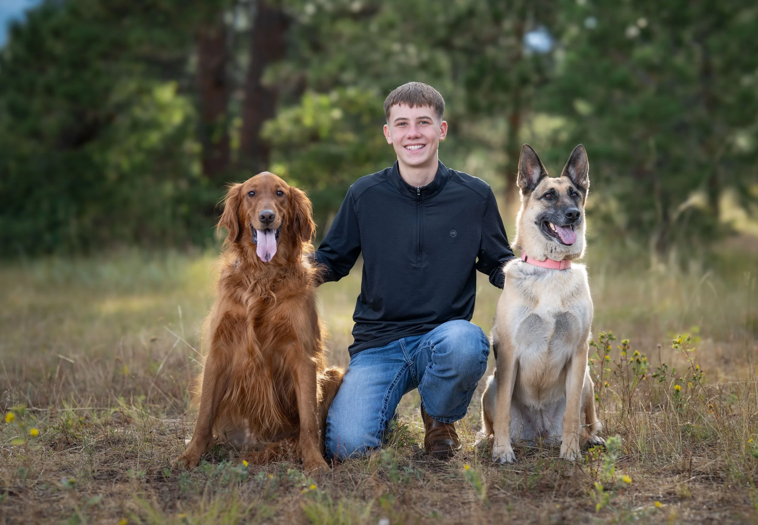 A young man kneeling outdoors in a grassy area with two dogs, an English Cocker Spaniel and a mixed breed, with trees in the background.