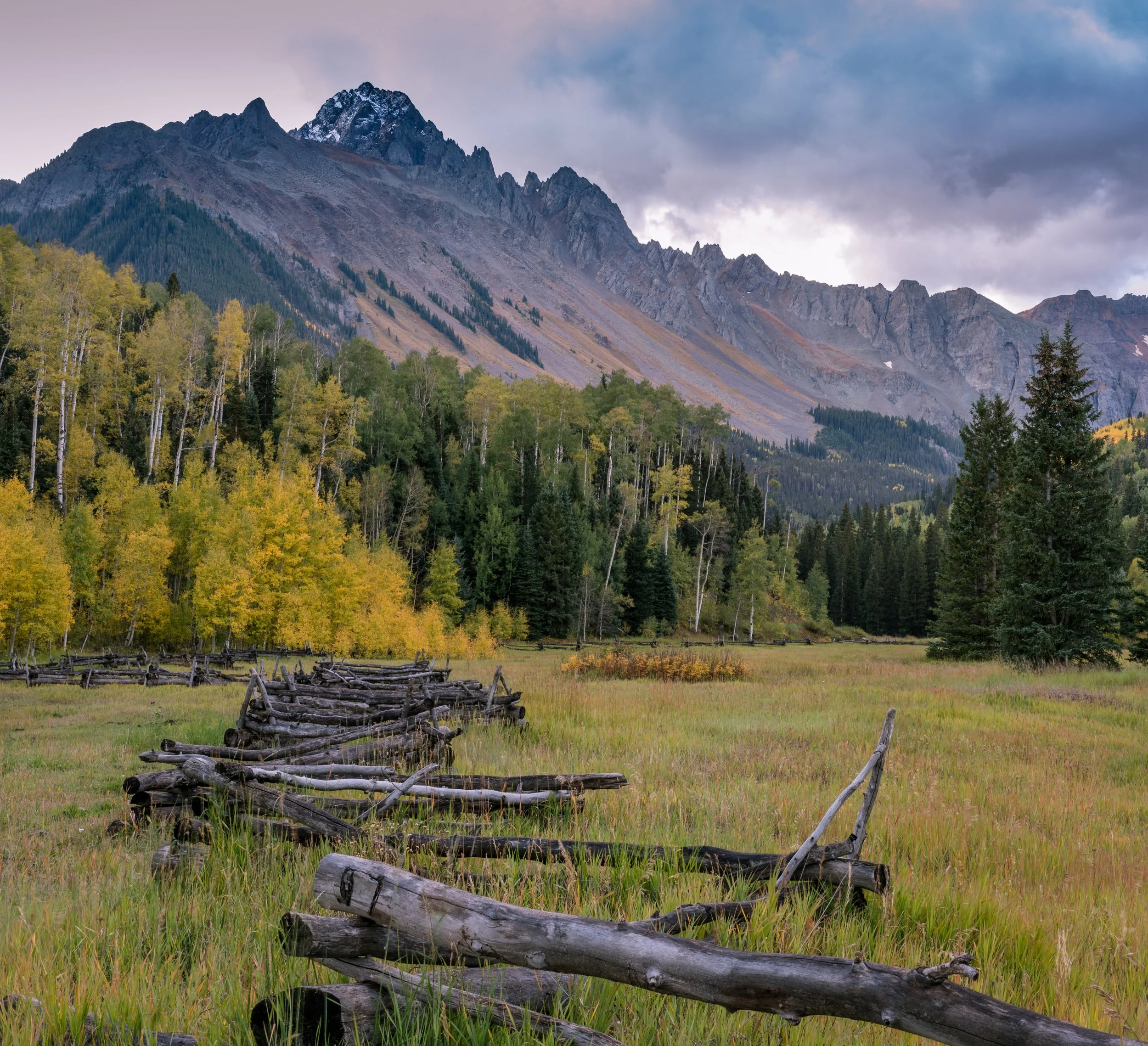 DSC_3031-4.jpg