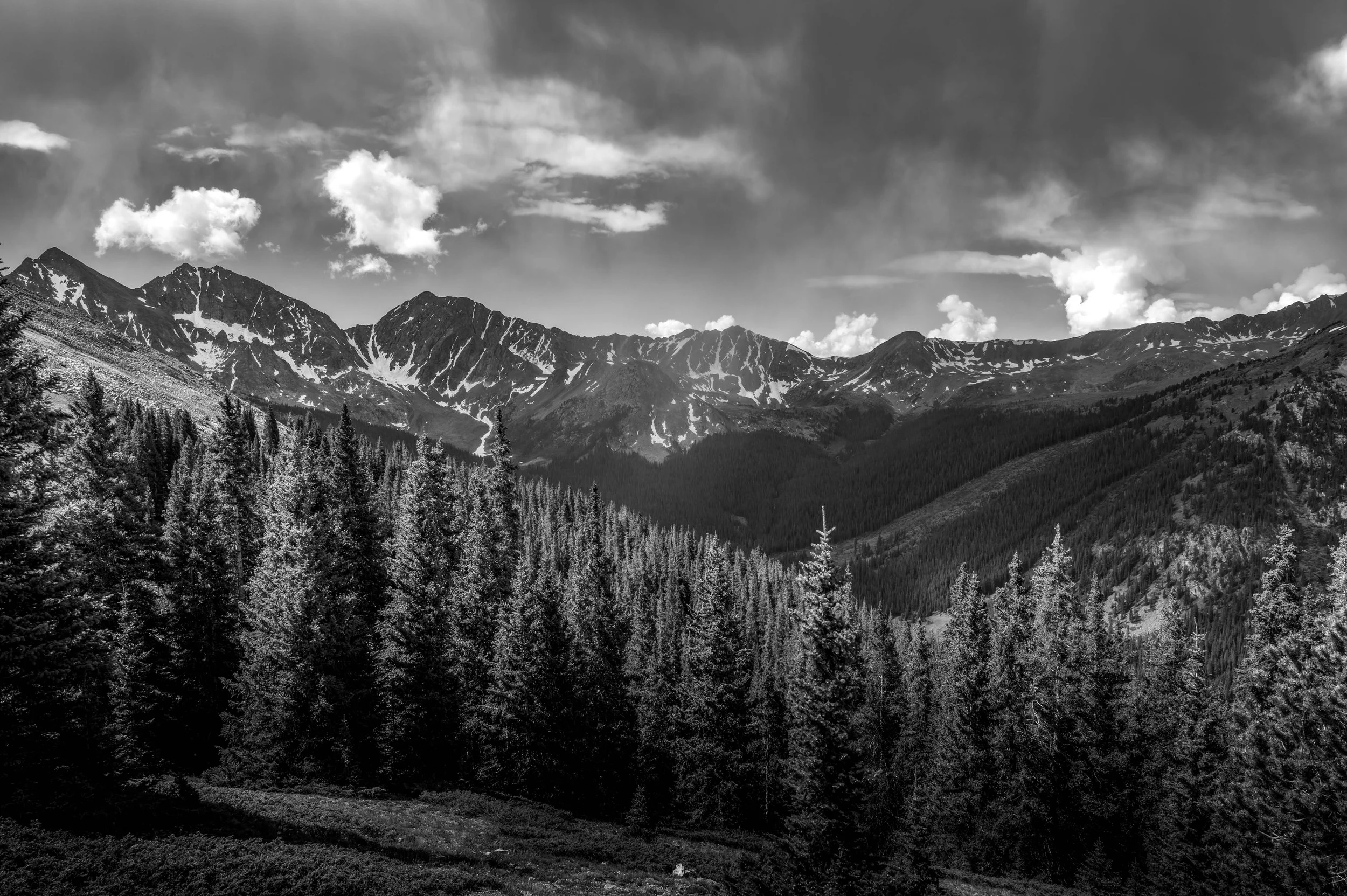 DSC_8190-Edit-2.jpg