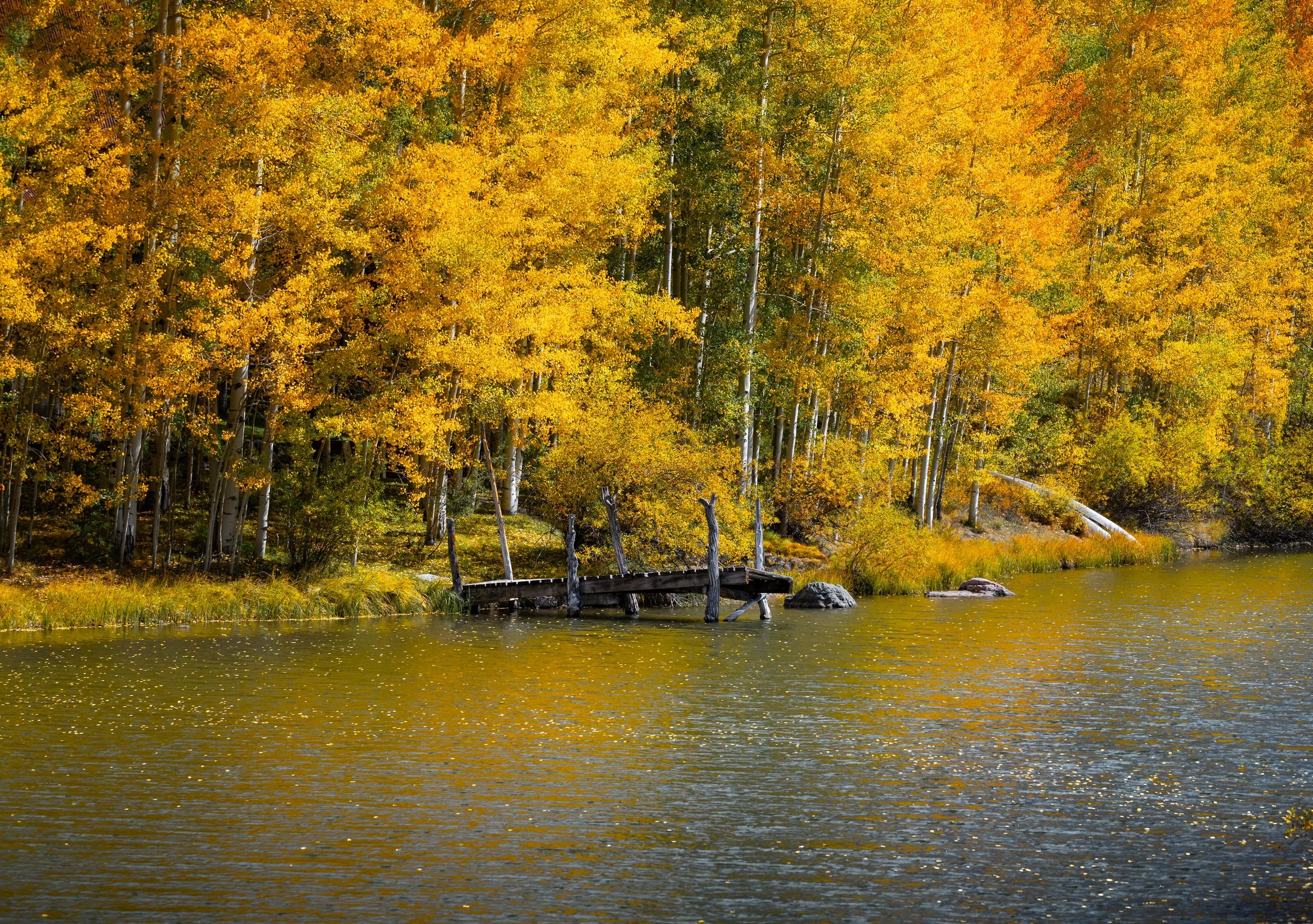 DSC_3928-Edit.jpg