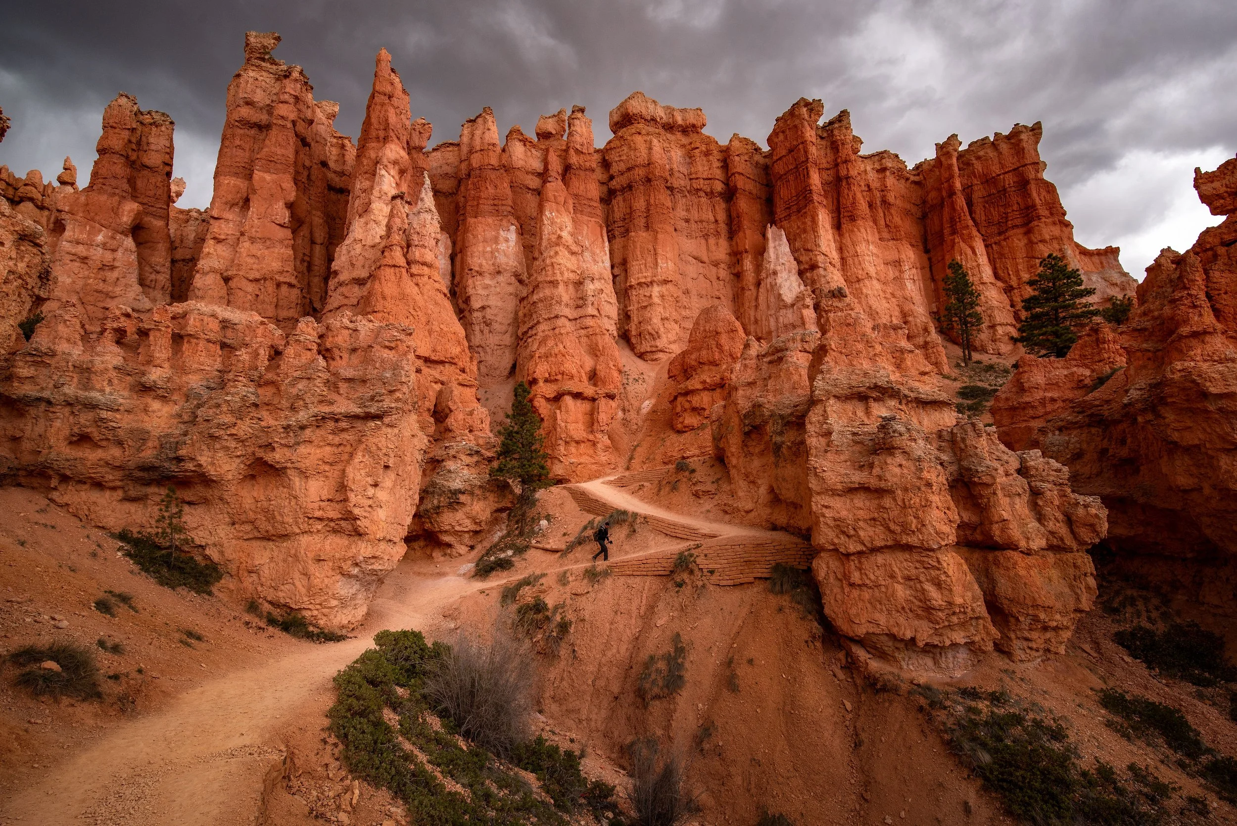DSC_6563-Edit.jpg
