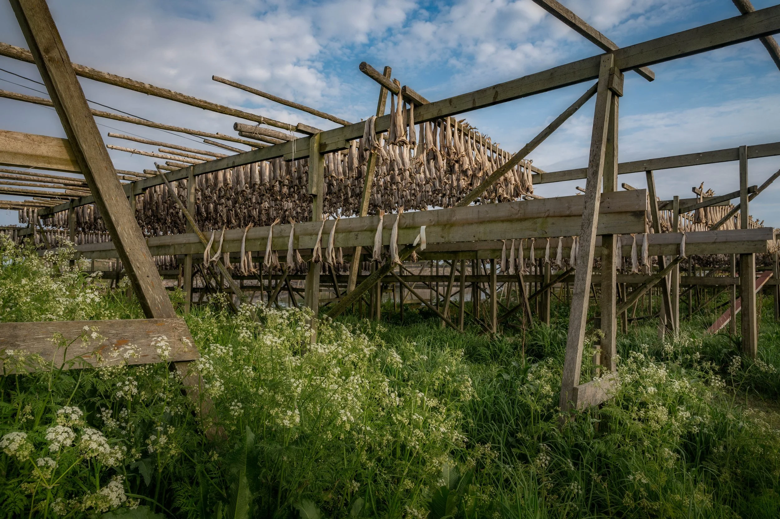 DSC_7667-Edit.jpg