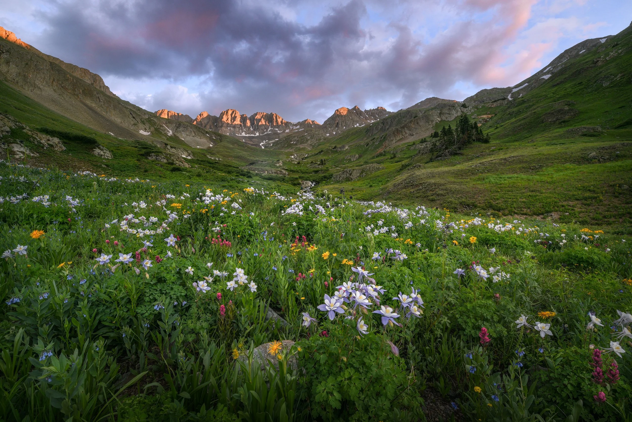 DSC_0939-Edit.jpg