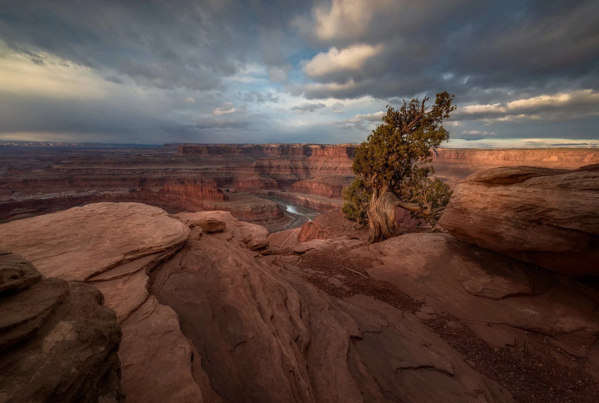 DSC_9180-Edit-Edit.jpg