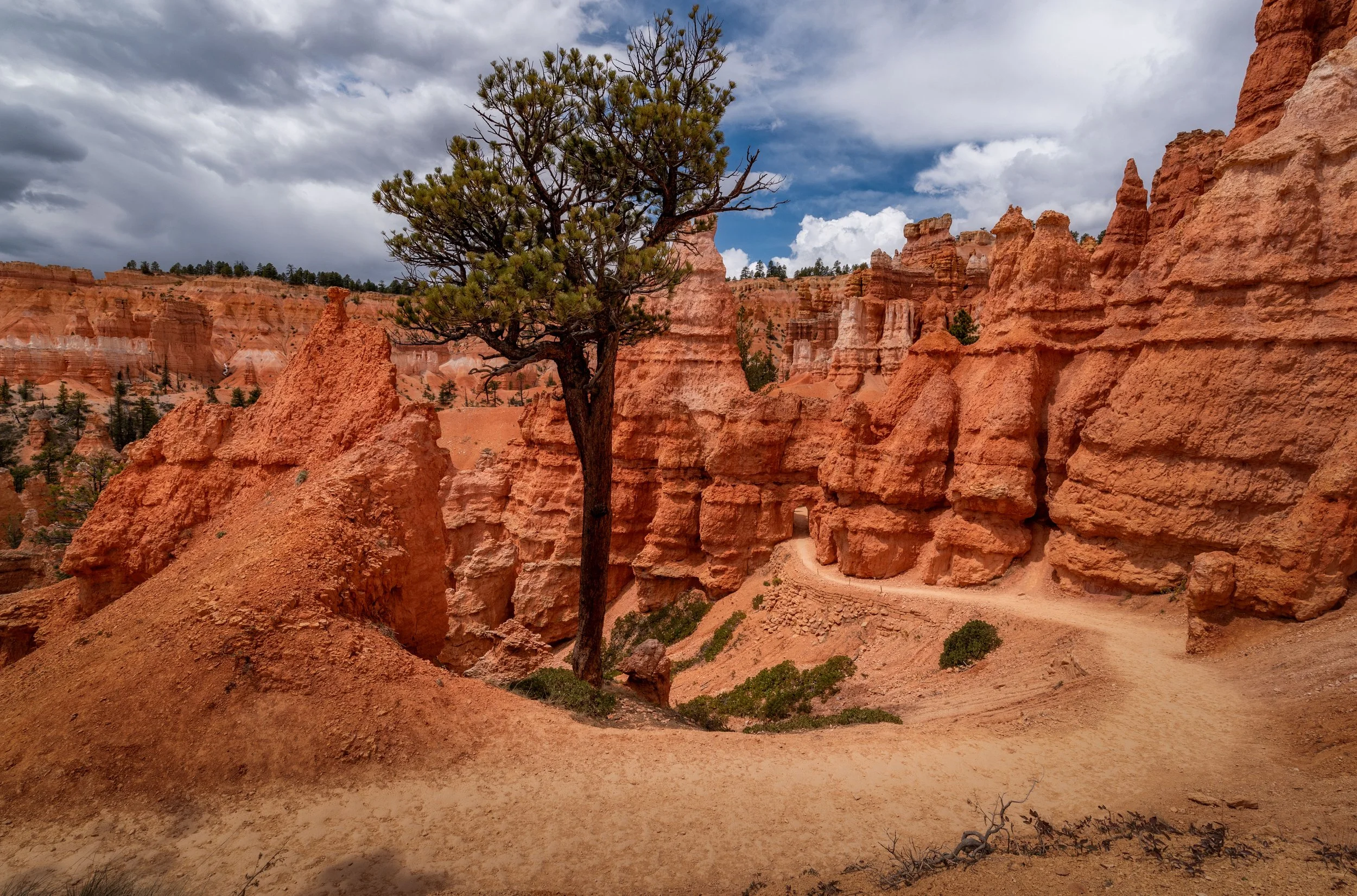 DSC_6483-Edit.jpg