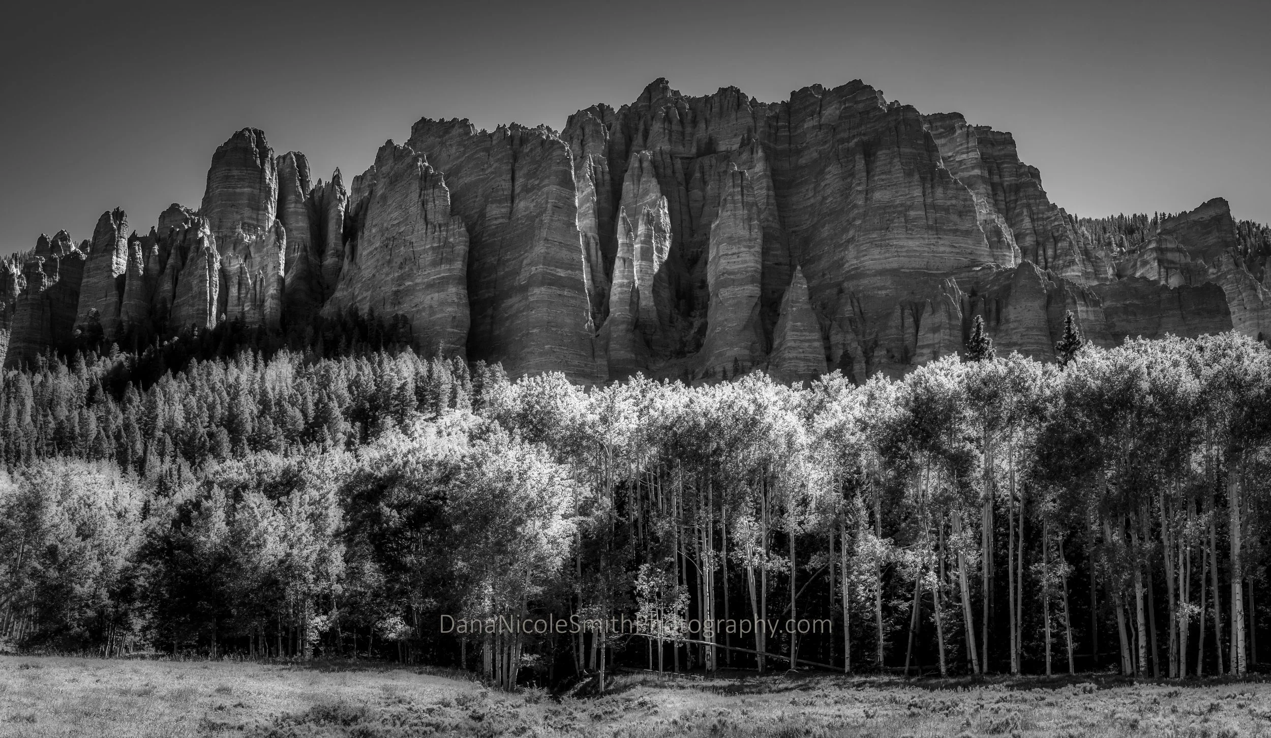 DSC_6311-Edit-2-2.jpg
