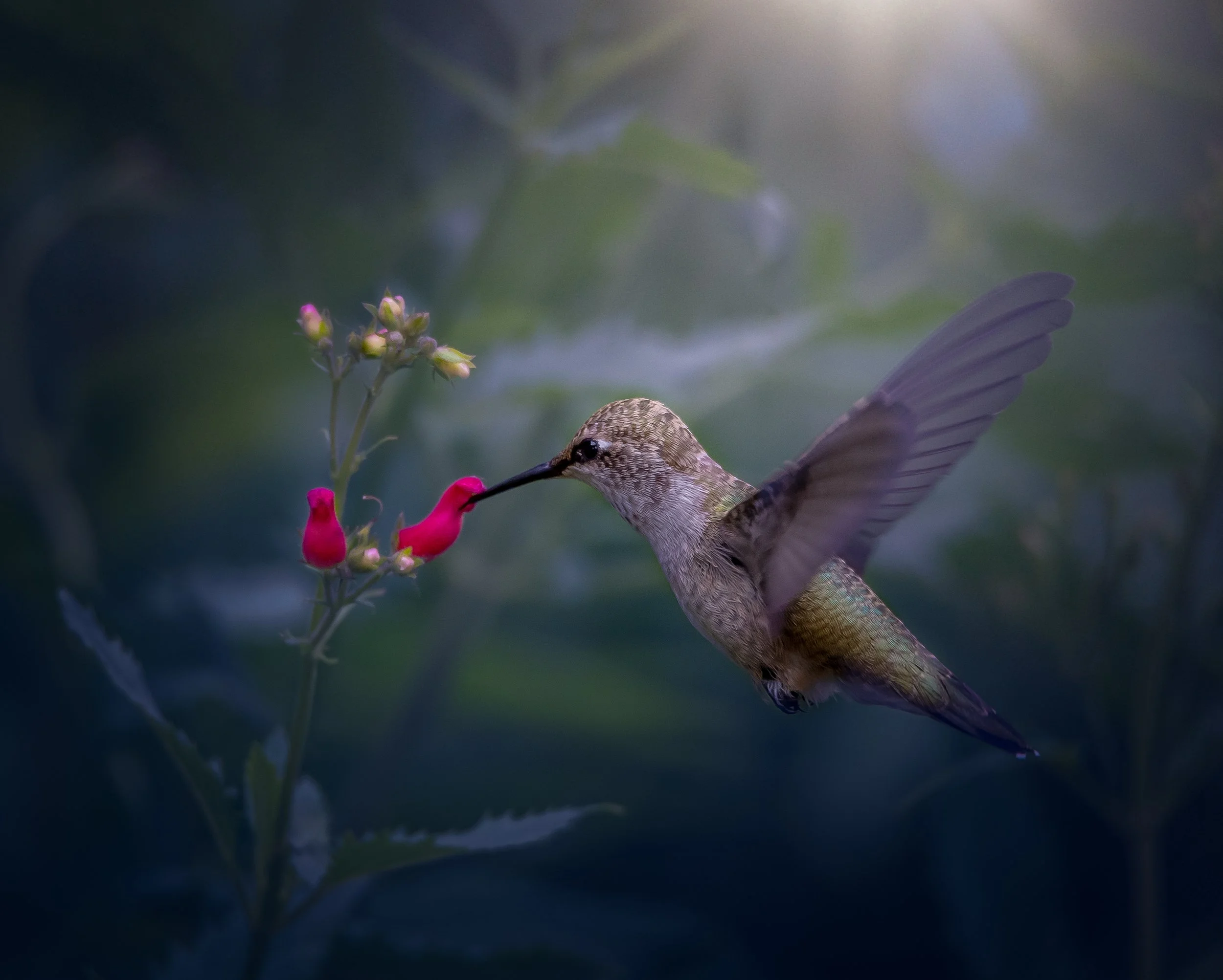 DSC_1672-Edit.jpg