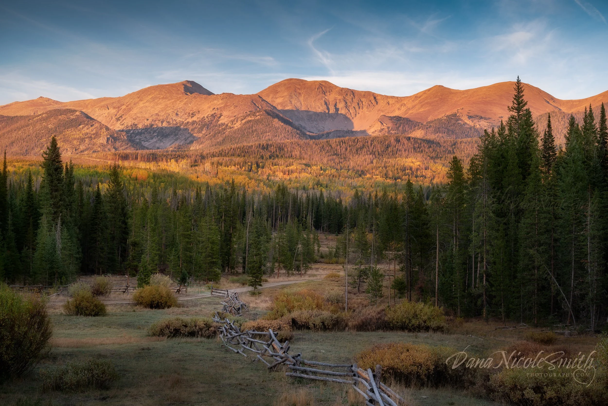 DSC_0994-Edit-Edit.jpg