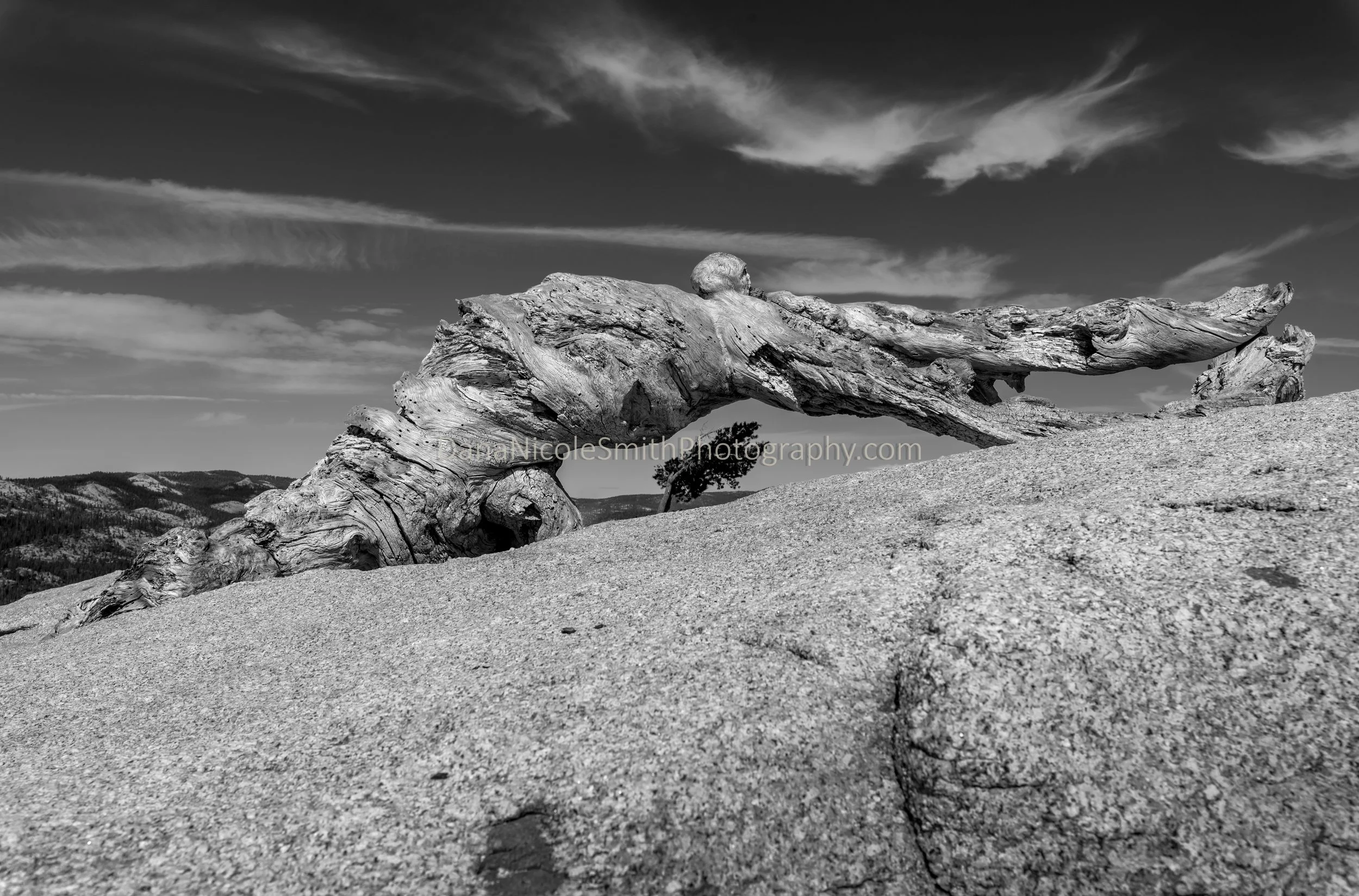 DSC_2645-Edit-2.jpg